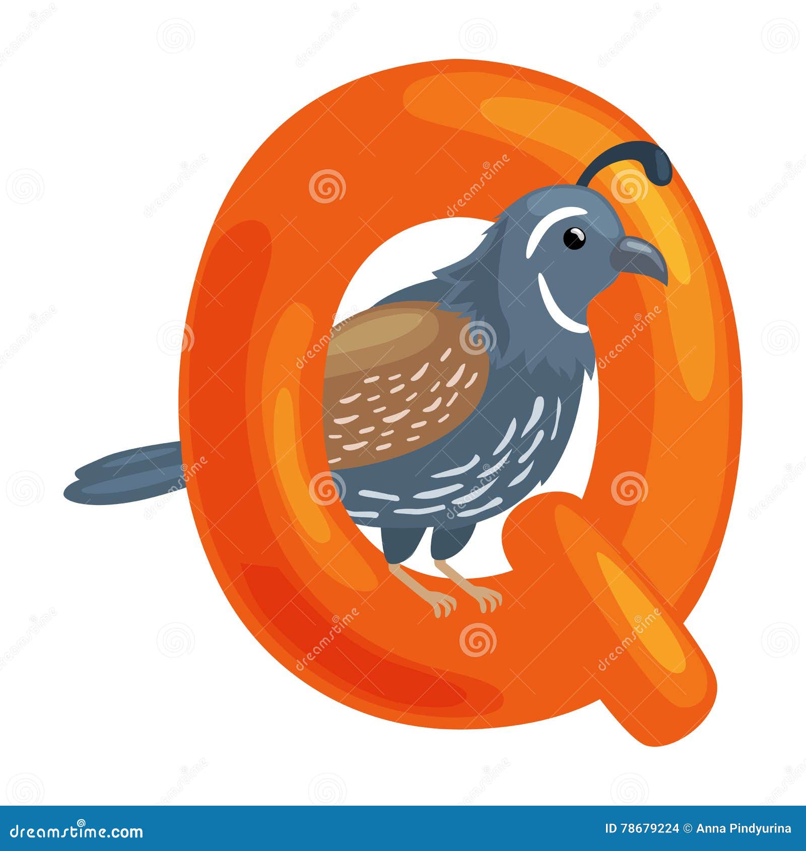 Letter Q with Animal Quail for Kids Abc Education in Preschool. Stock Vector - Illustration of collection, education: 78679224 Letter Q with Animal Quail for Kids Abc Education in Preschool. Stock Vector - Illustration of collection, education: 78679224