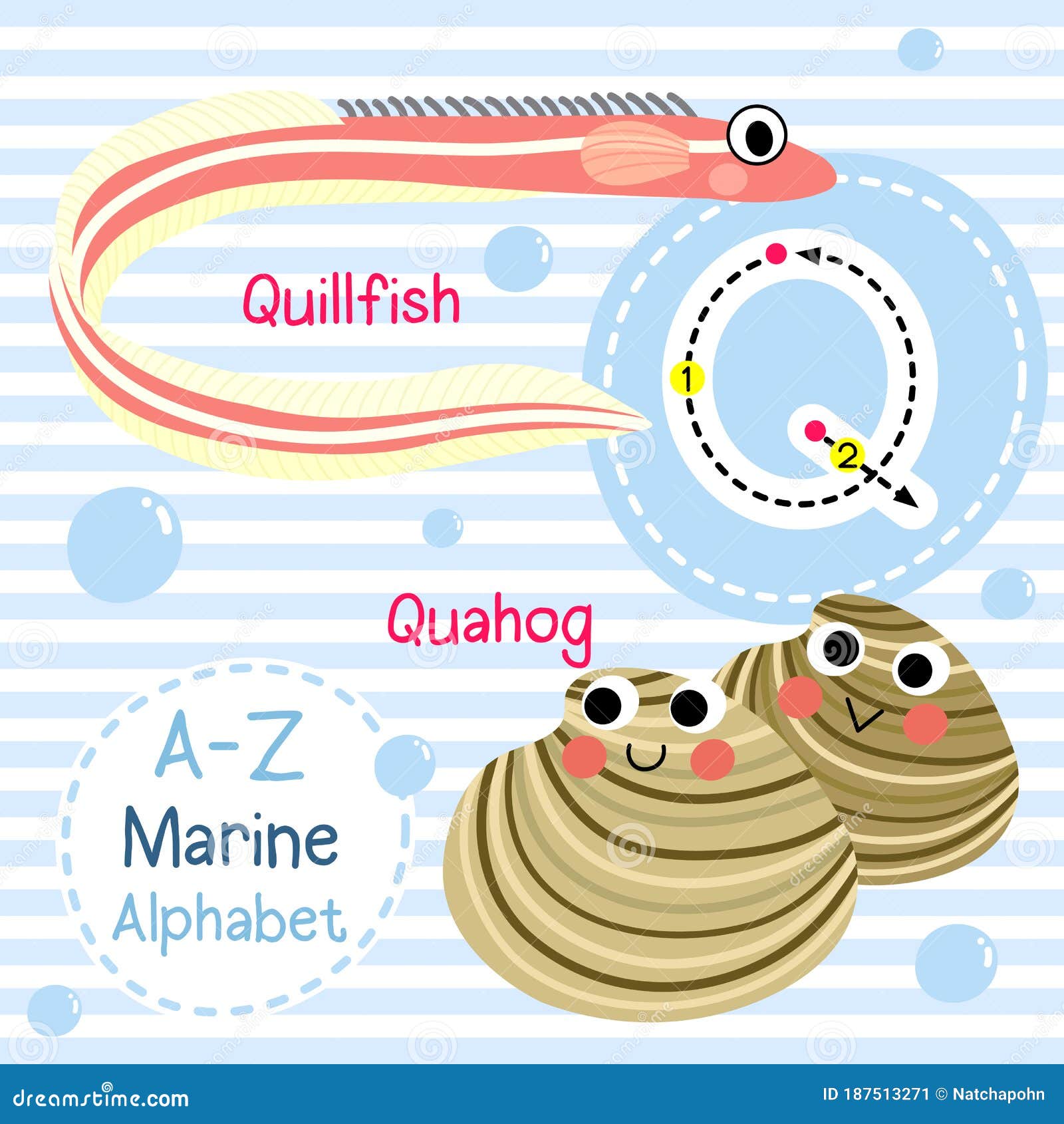 Letter Q Tracing. Quahog. Quillfish. Marine Alphabet Stock Vector - Illustration of marine, education: 187513271 Letter Q Tracing. Quahog. Quillfish. Marine Alphabet Stock Vector - Illustration of marine, education: 187513271