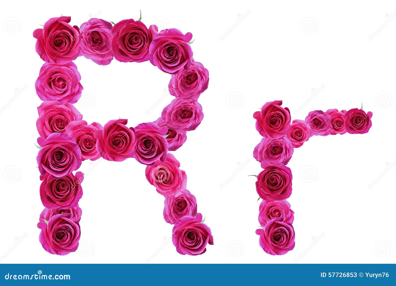 The letter r from roses stock image. Image of season - 57726853