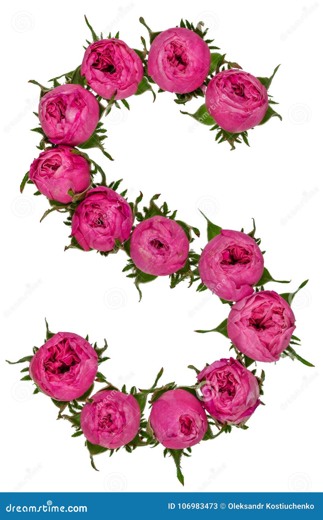 Letter S Alphabet from Flowers of Roses, Isolated on White ...