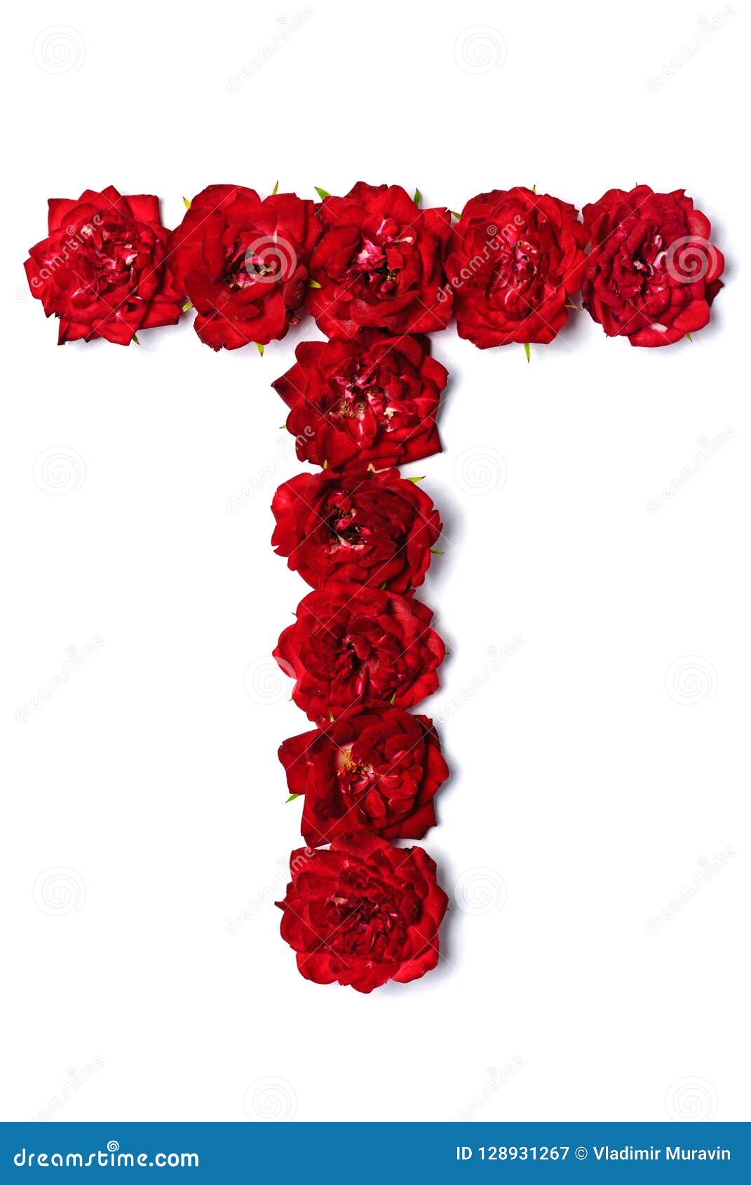 Letter T from Flowers of Red Rose Stock Image - Image of ...