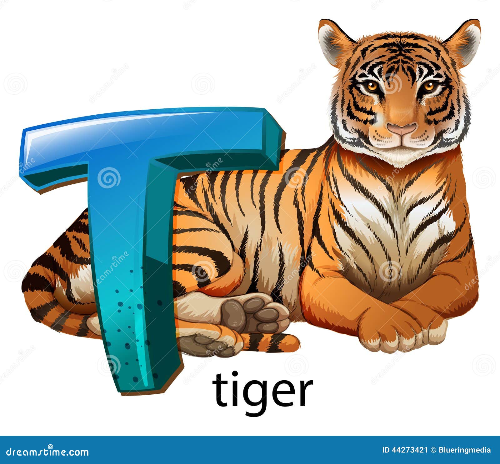 A Letter T For Tiger Stock Vector Illustration Of