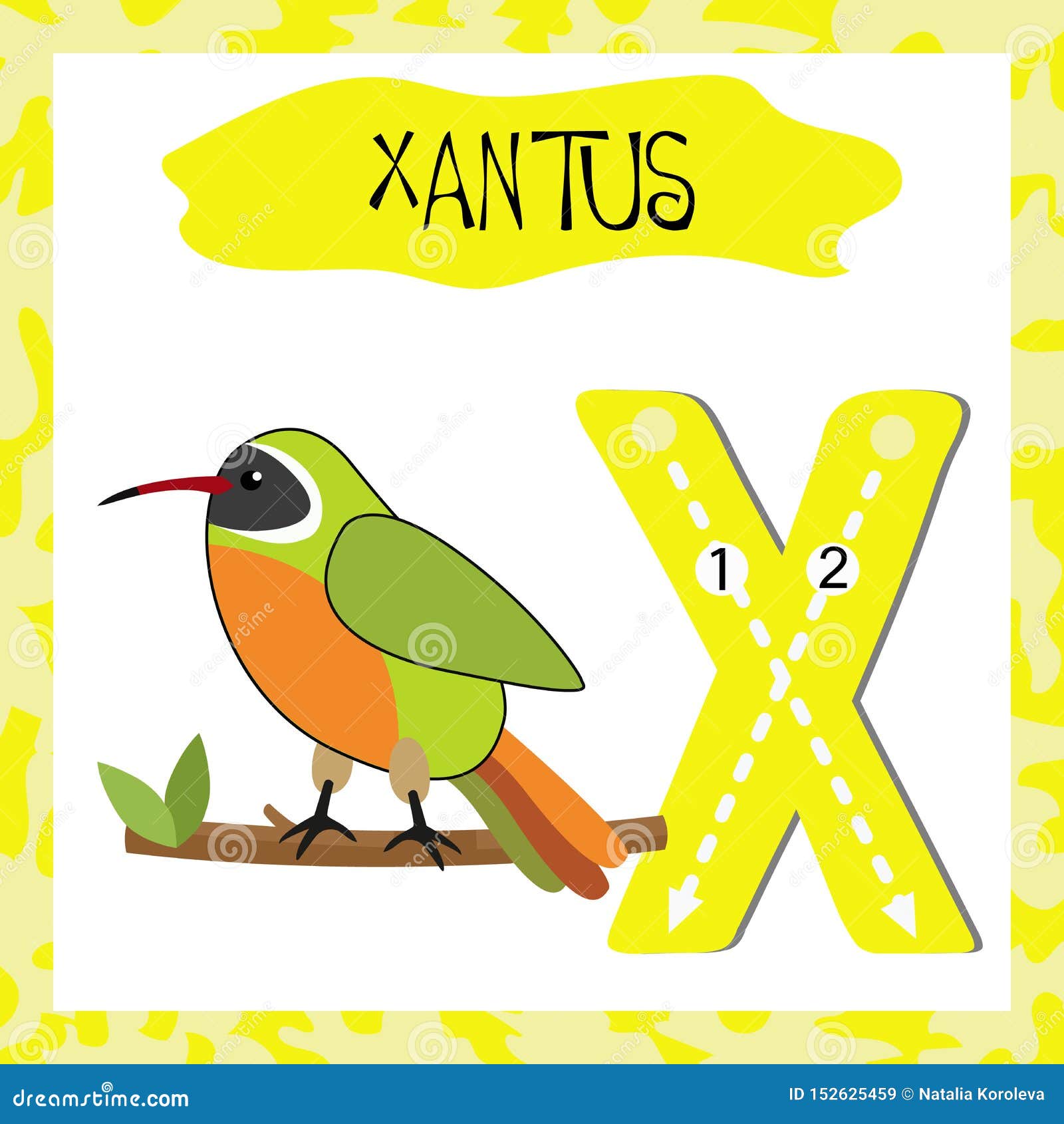 English Alphabet Letter X for Teaching Children To Read Stock Vector - Illustration of english, blank: 152625459 English Alphabet Letter X for Teaching Children To Read Stock Vector - Illustration of english, blank: 152625459