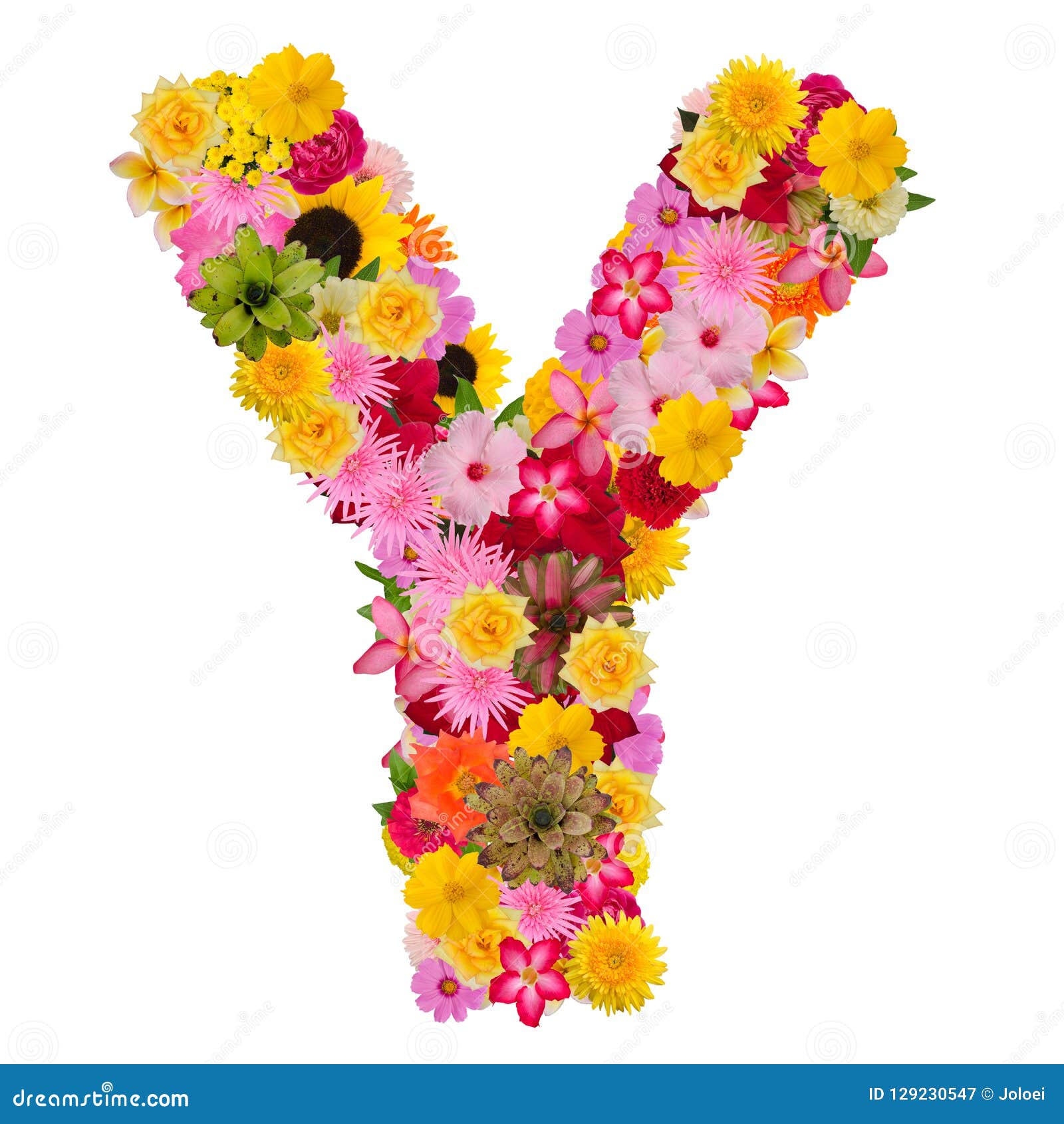 Albums 96+ Images flowers that start with the letter y Latest