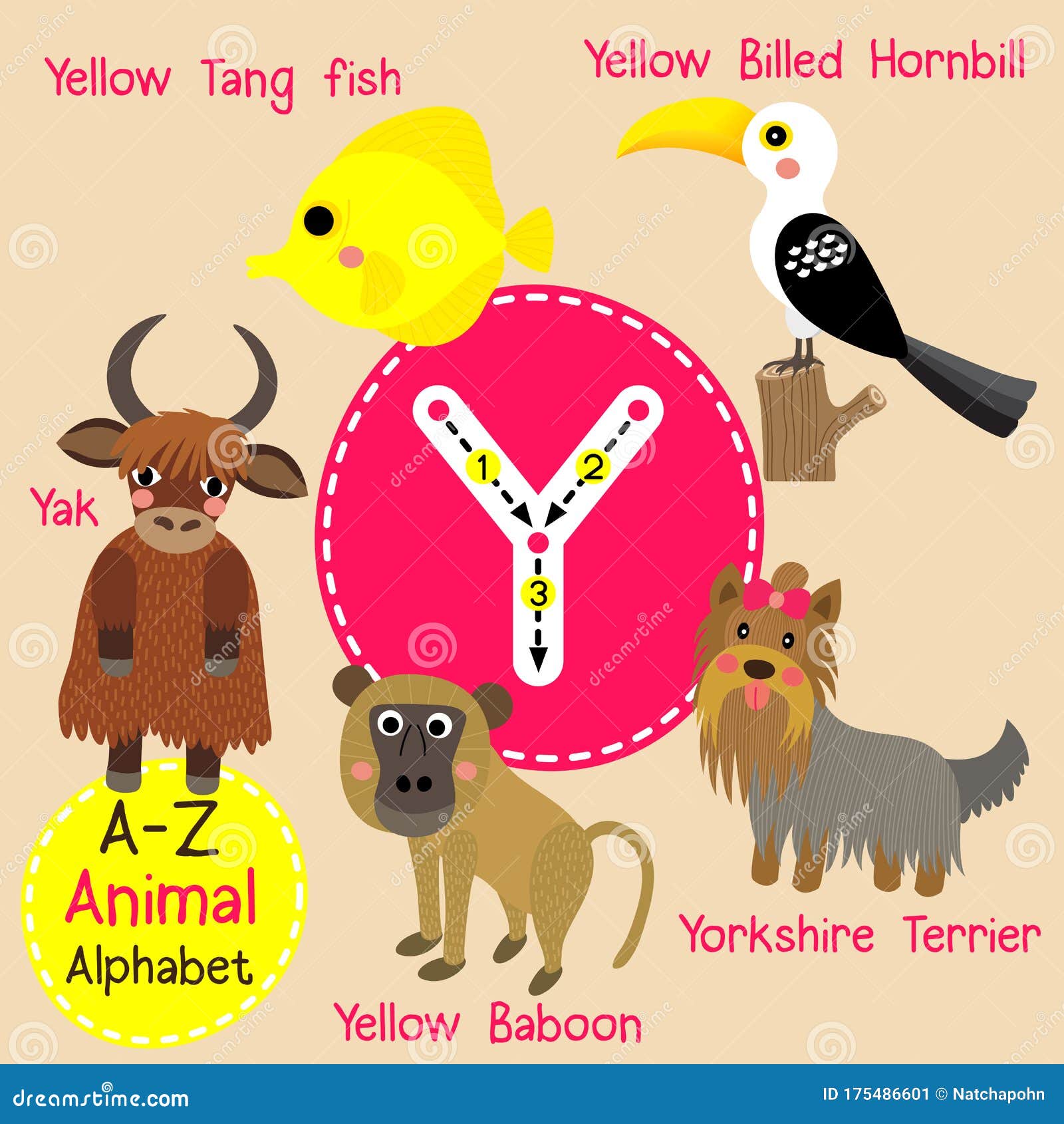 Letter Y Tracing. Yak. Yorkshire Terrier. Yellow Baboon. Yellow Billed ...