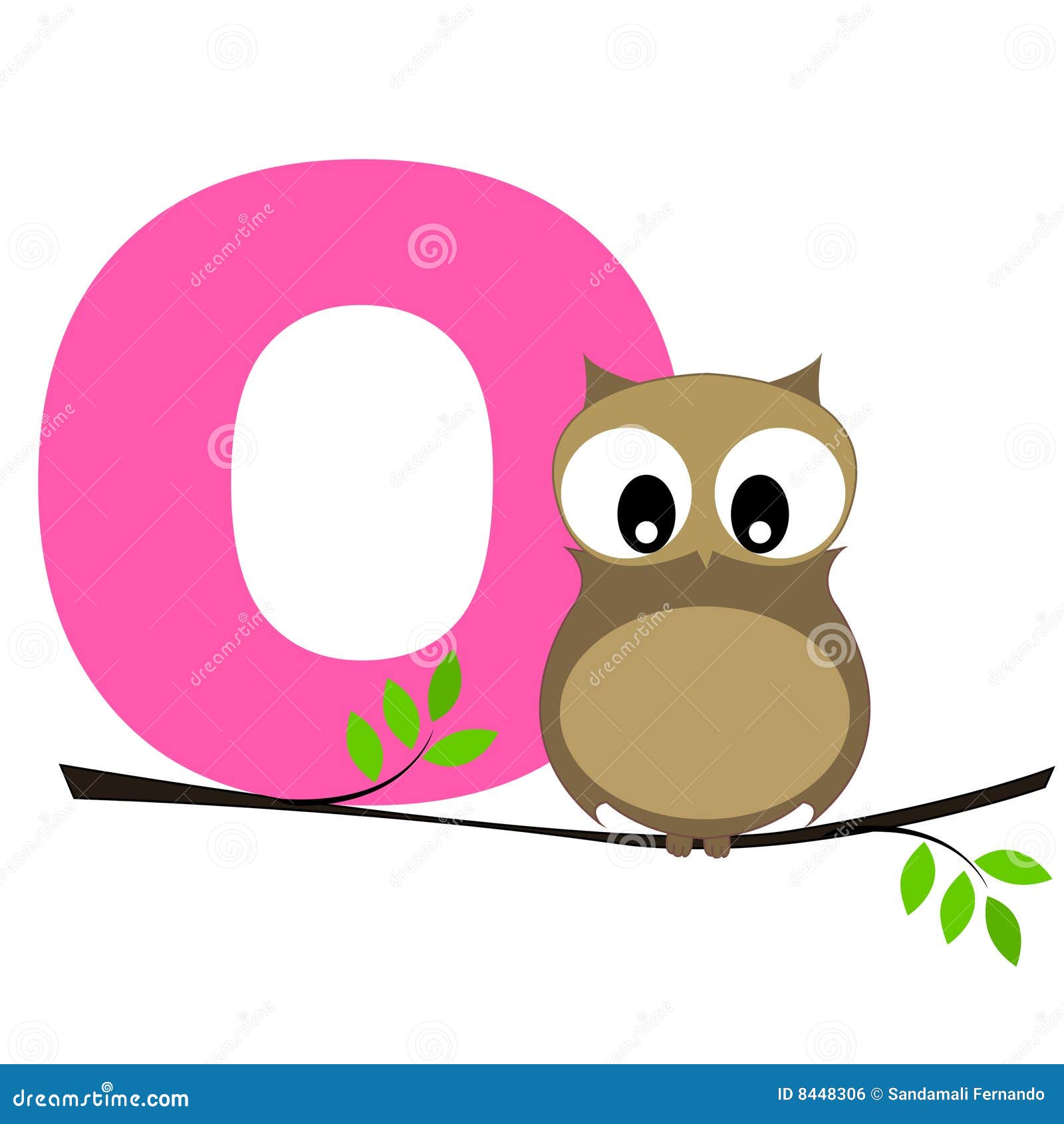 Animali che iniziano con la lettera s