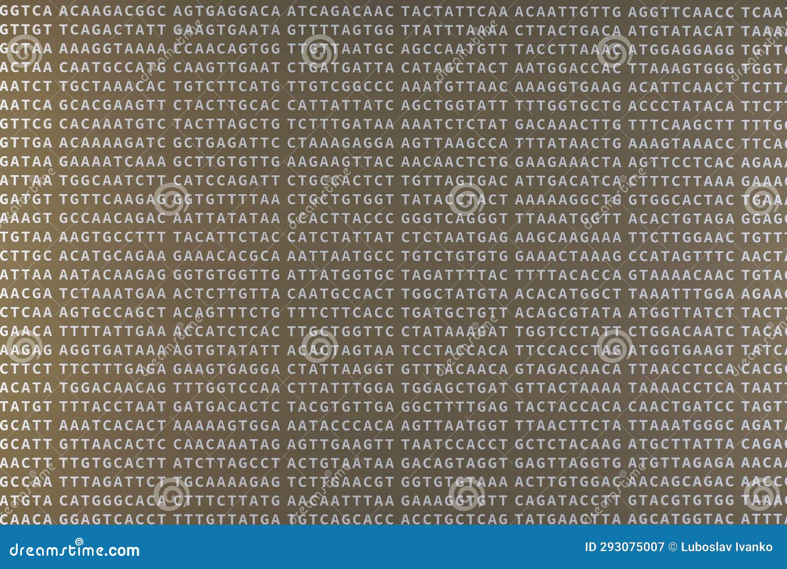 letters a c g t arranged randomly. acgt represent nucleobase adenine, cytosine, guanine and thymine found in dna, part