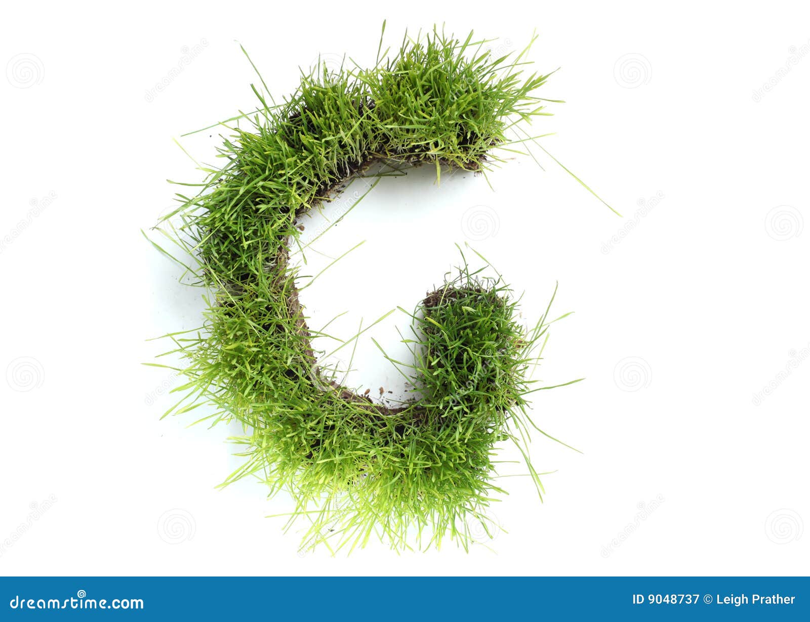 letters made of grass