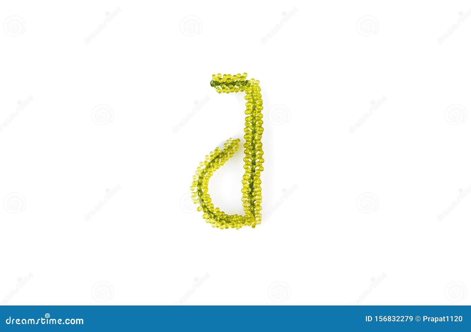 Letters from seaweed stock image. Image of ocean, seaweed - 156832279