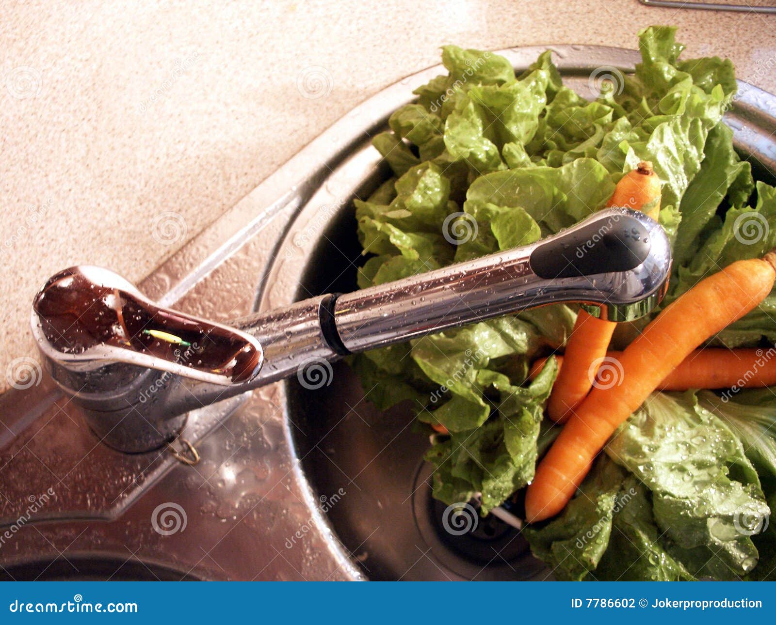 Lettuce and carrots stock photo. Image of armature, diet 7786602