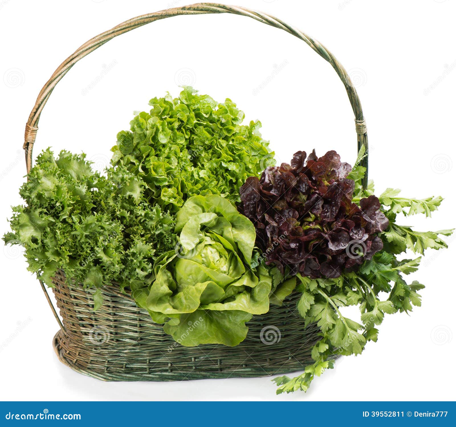Lettuce with celery stock image. Image of studio, lettuce 39552811