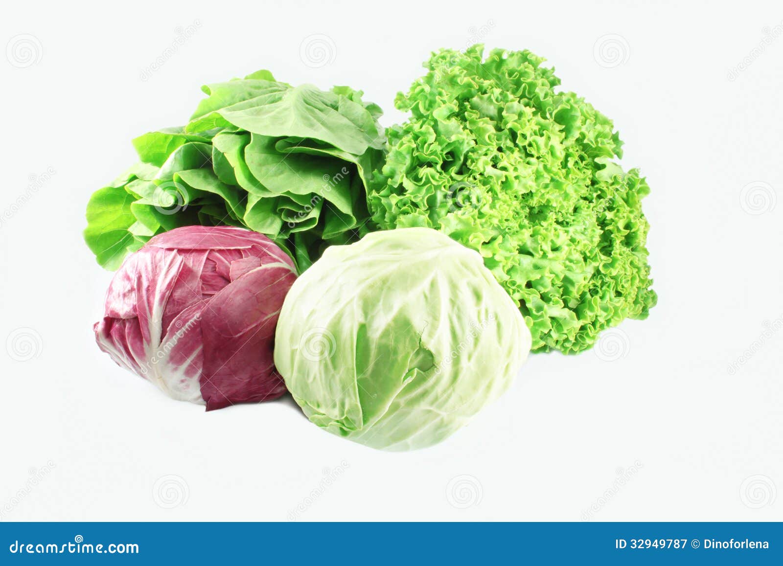 Lettuce different types stock image. Image of lettuce - 32949787