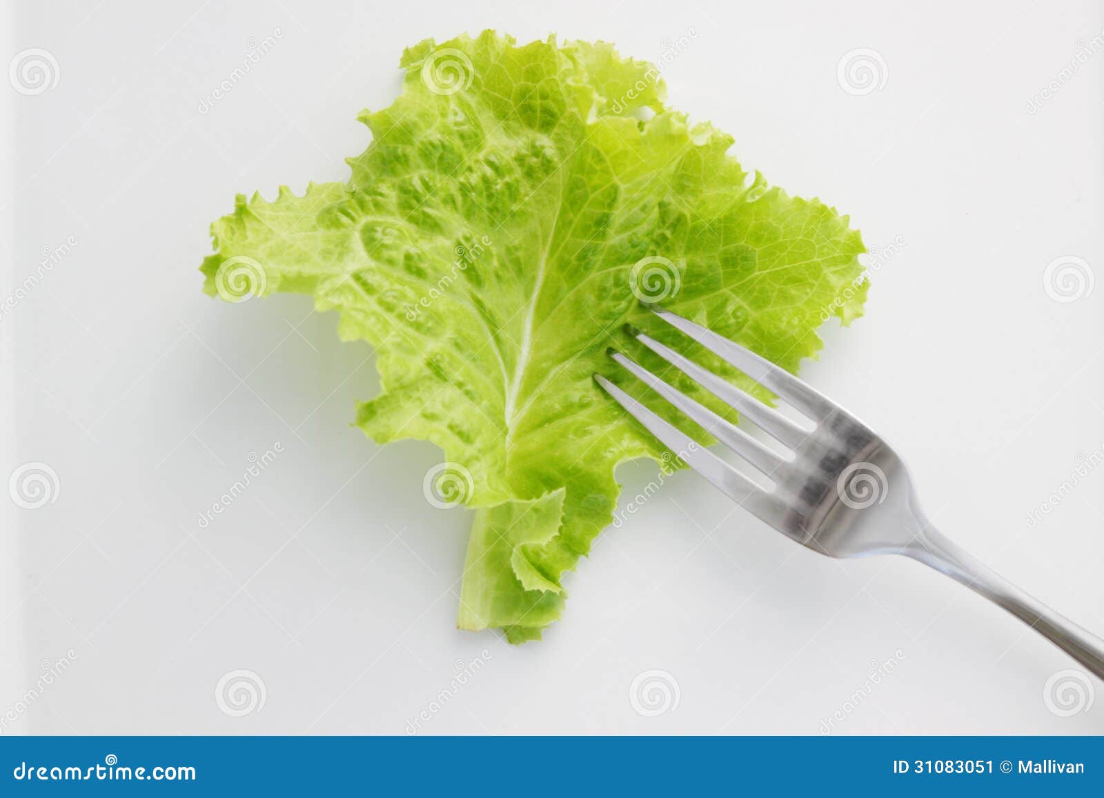 Lettuce stock image. Image of contemporary, dishware 31083051