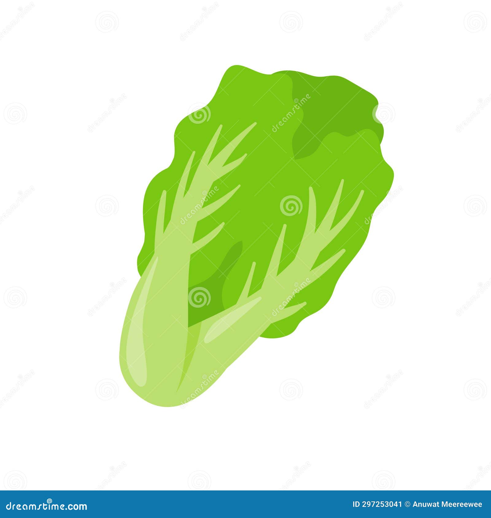 Lettuce. Green Leafy Vegetables for a Healthy Salad Stock Illustration