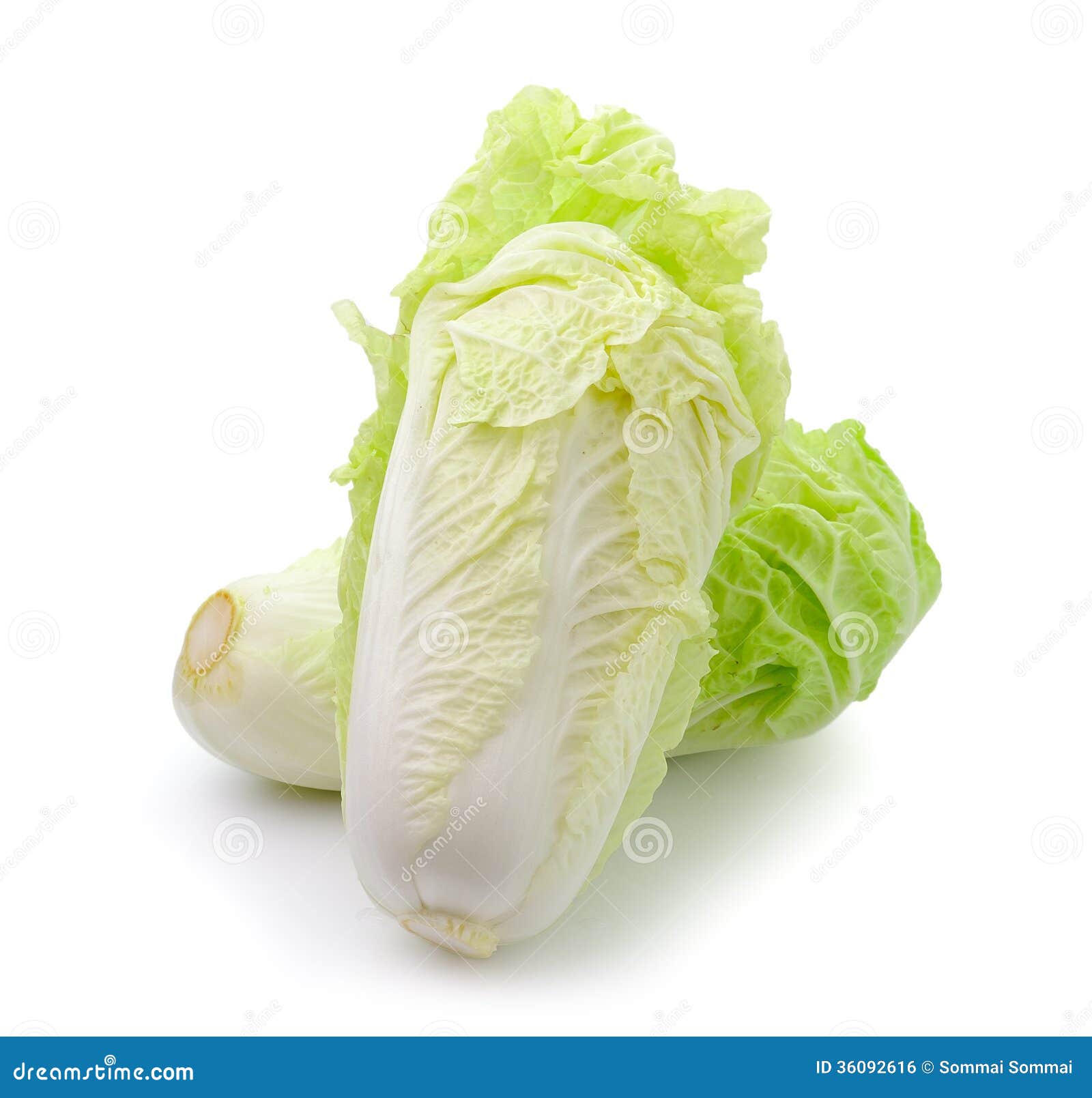 Lettuce Heart on a White Background Stock Photo Image of grocery