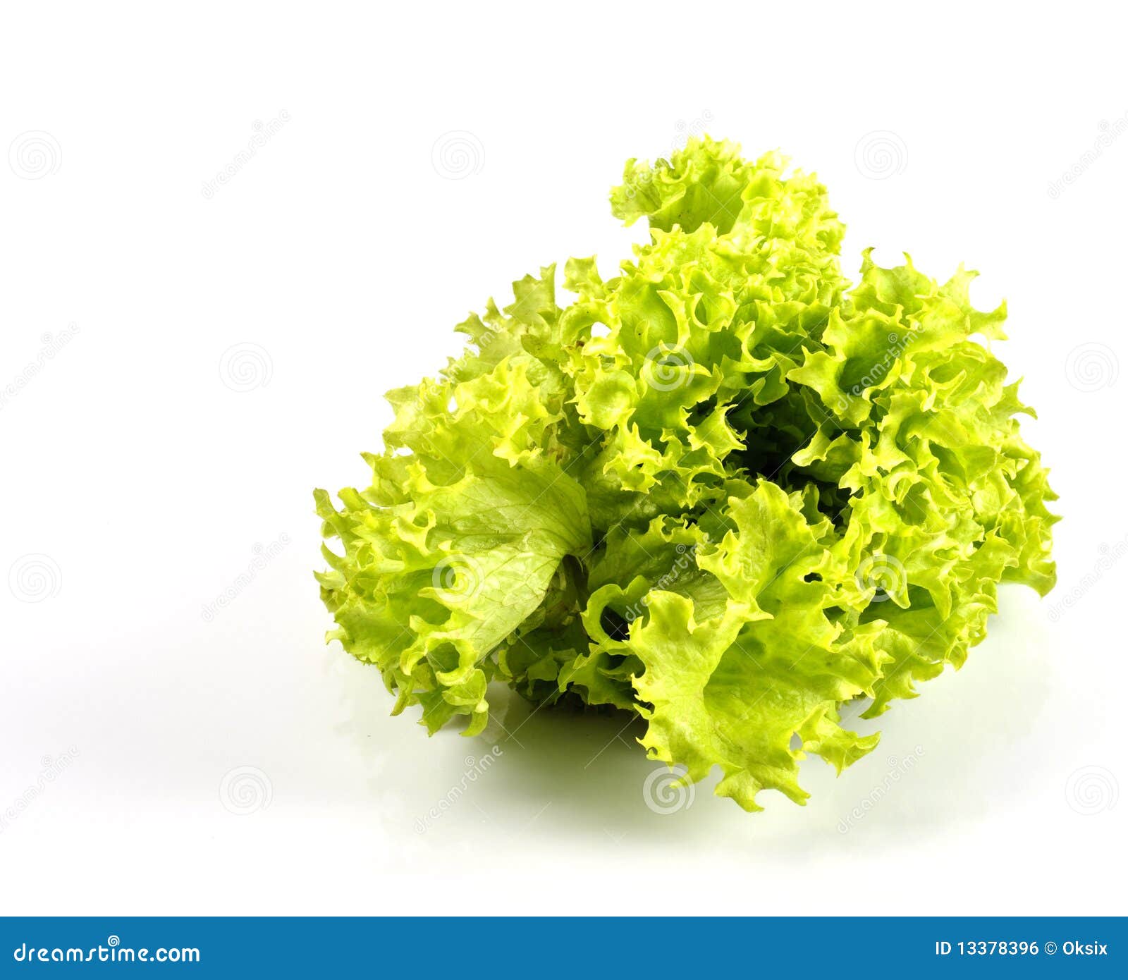 Lettuce in kitchen stock photo. Image of vegetable, freshness 13378396