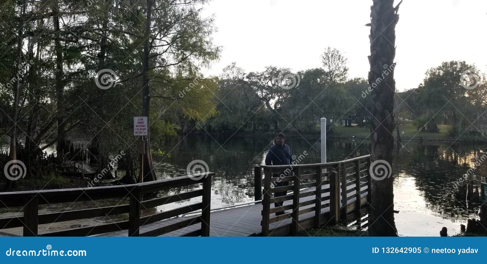 Lettuce Lake Park stock image. Image of lake, park, surrounded 132642905