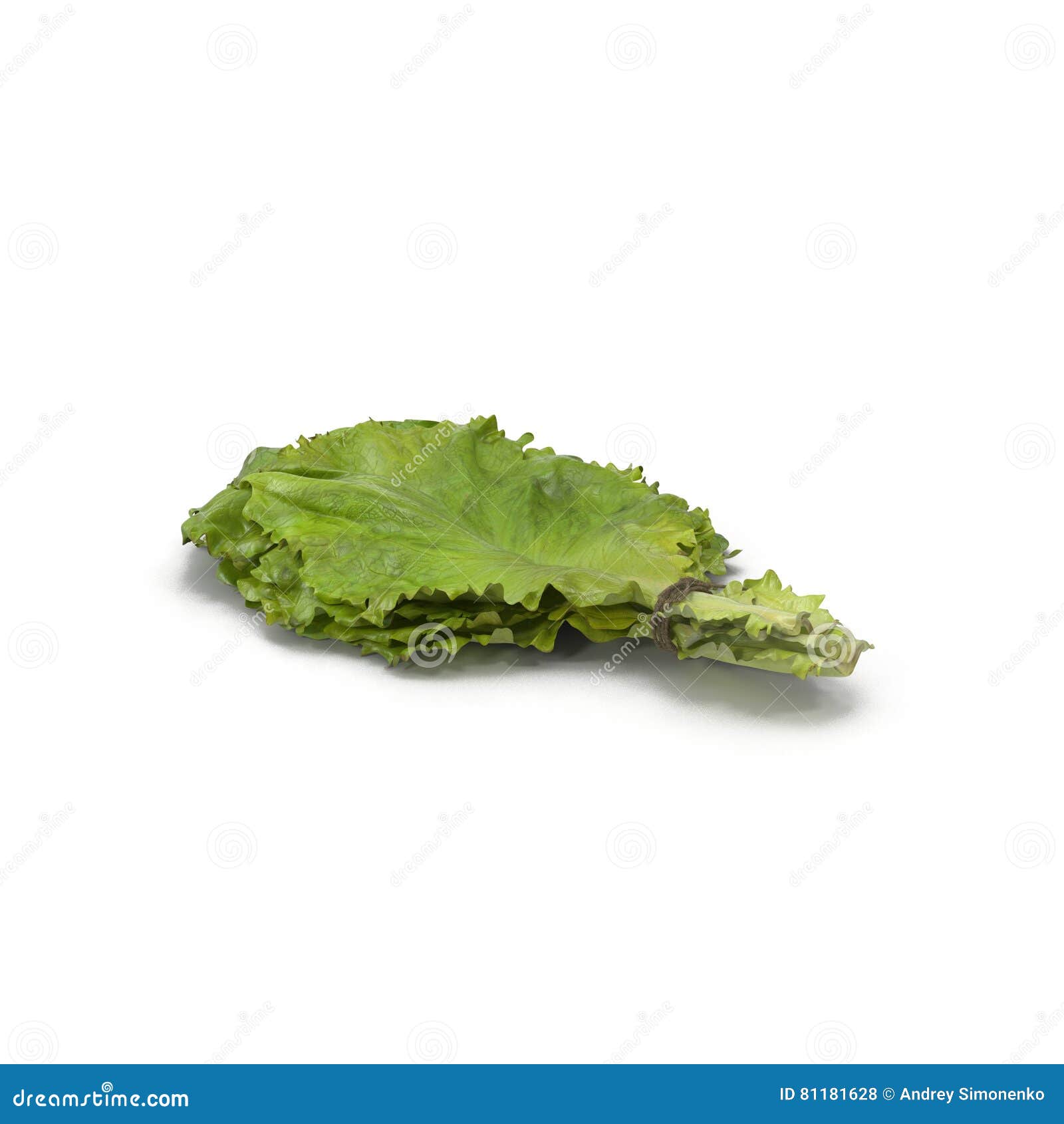 Lettuce Leaf Bunch on White. 3D Illustration Stock Illustration
