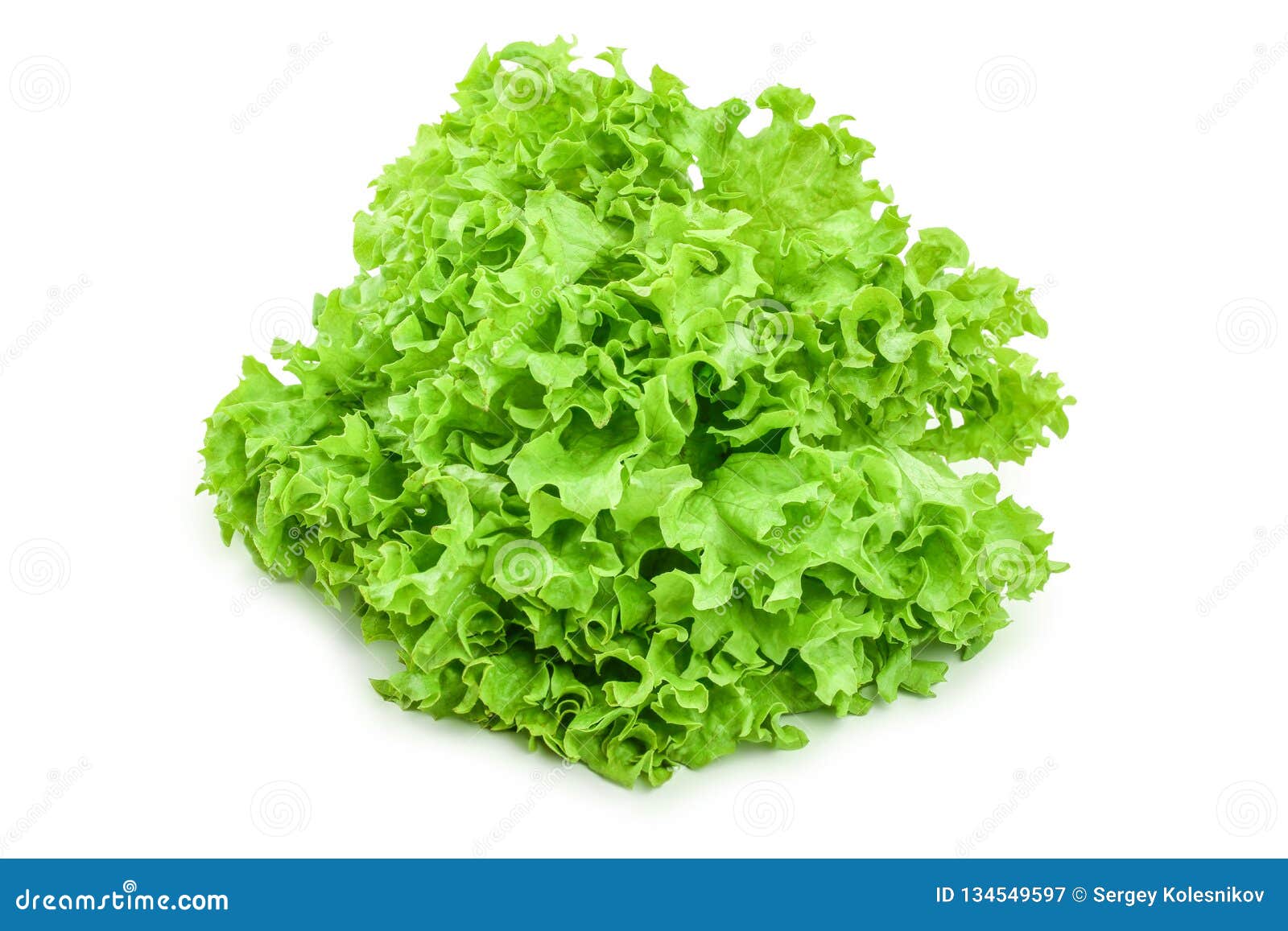 Lettuce Leaf Isolated on White Background Close Up Stock Image Image