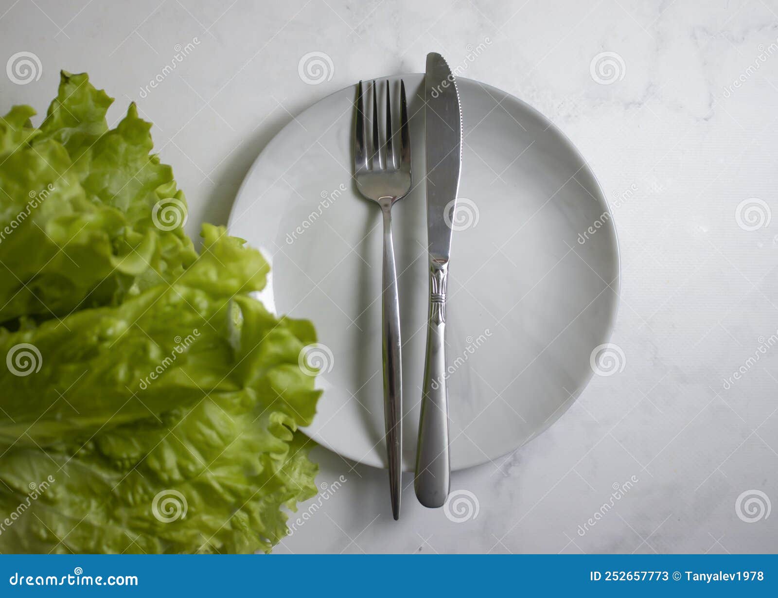 Lettuce Leaf on a Plate on a Light Background Concept Stock Image