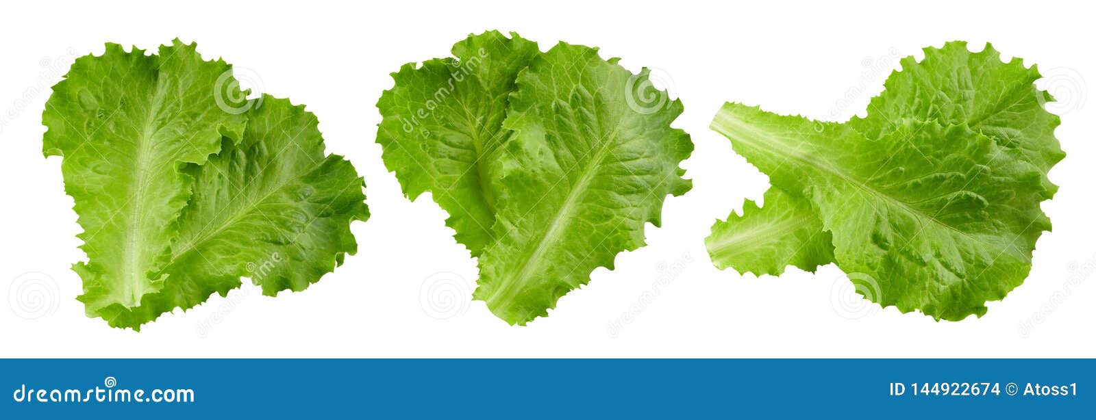 Lettuce Leaves Clipping Path Stock Photo Image of lettuce, cabbage