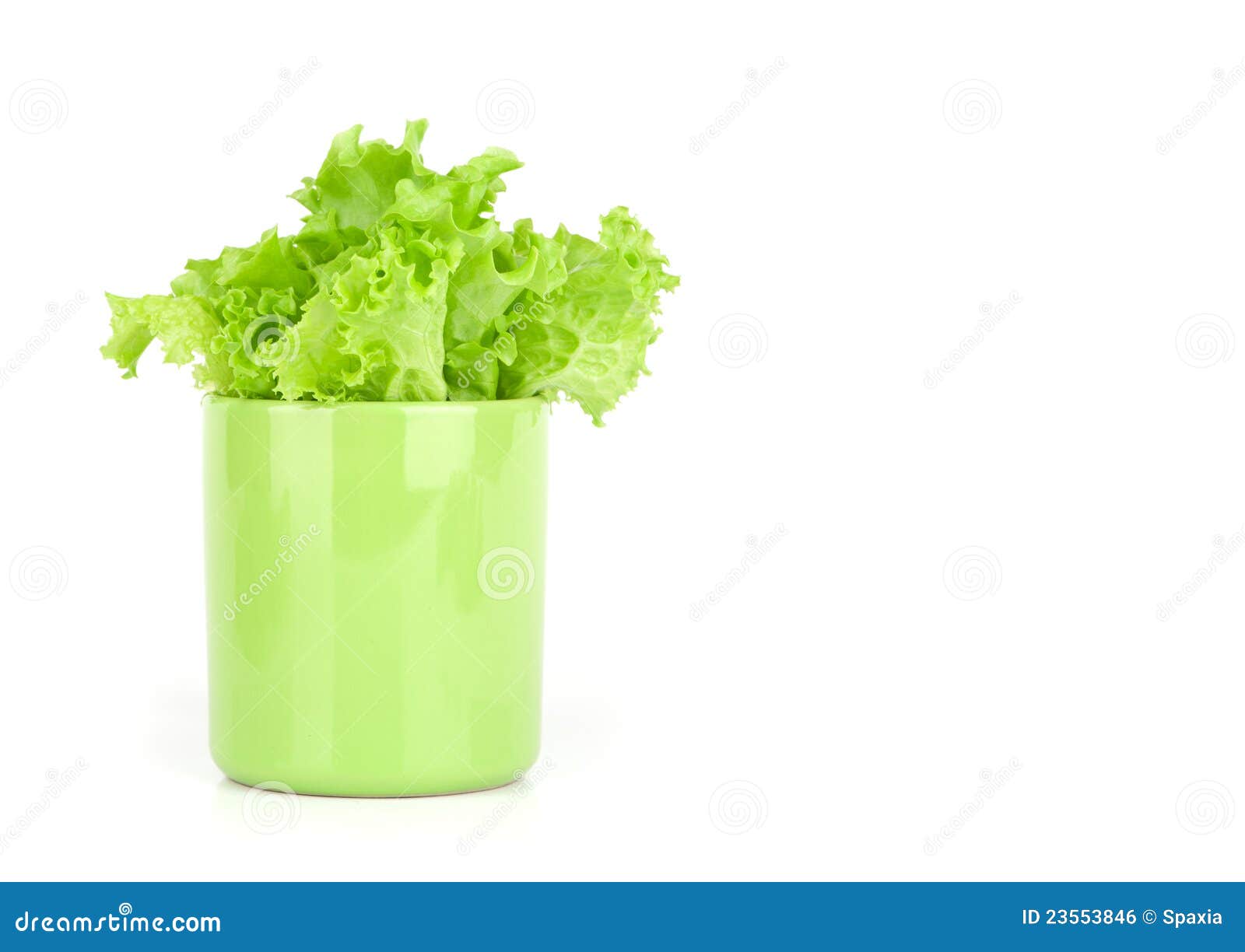 Lettuce leaves in a cup stock photo. Image of fresh, freshness 23553846