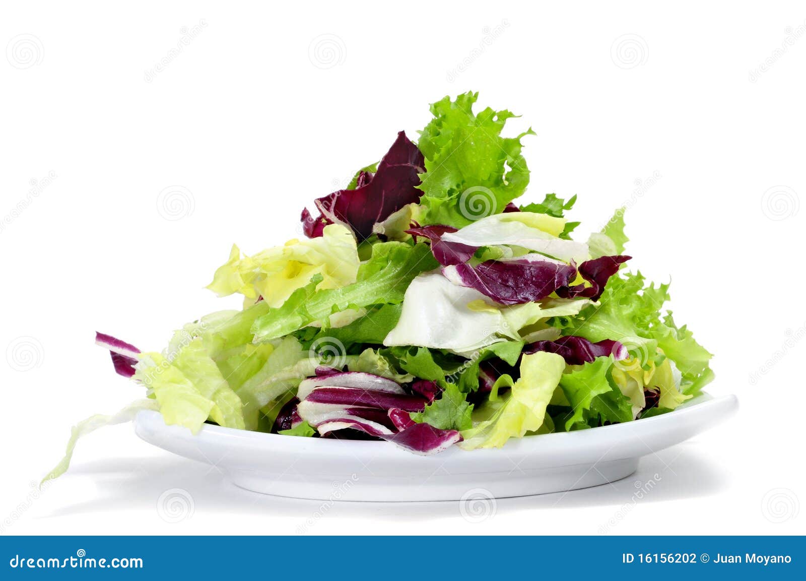Lettuce mix stock photo. Image of health, leaf, lunch 16156202