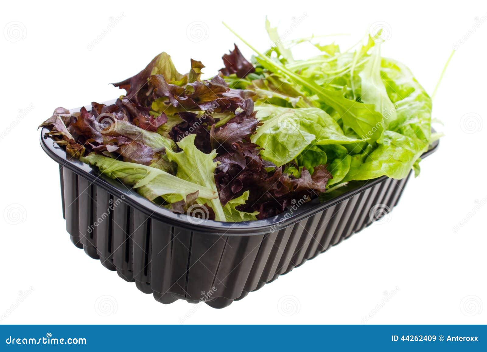 Lettuce mix stock image. Image of vegetarian, healthy 44262409