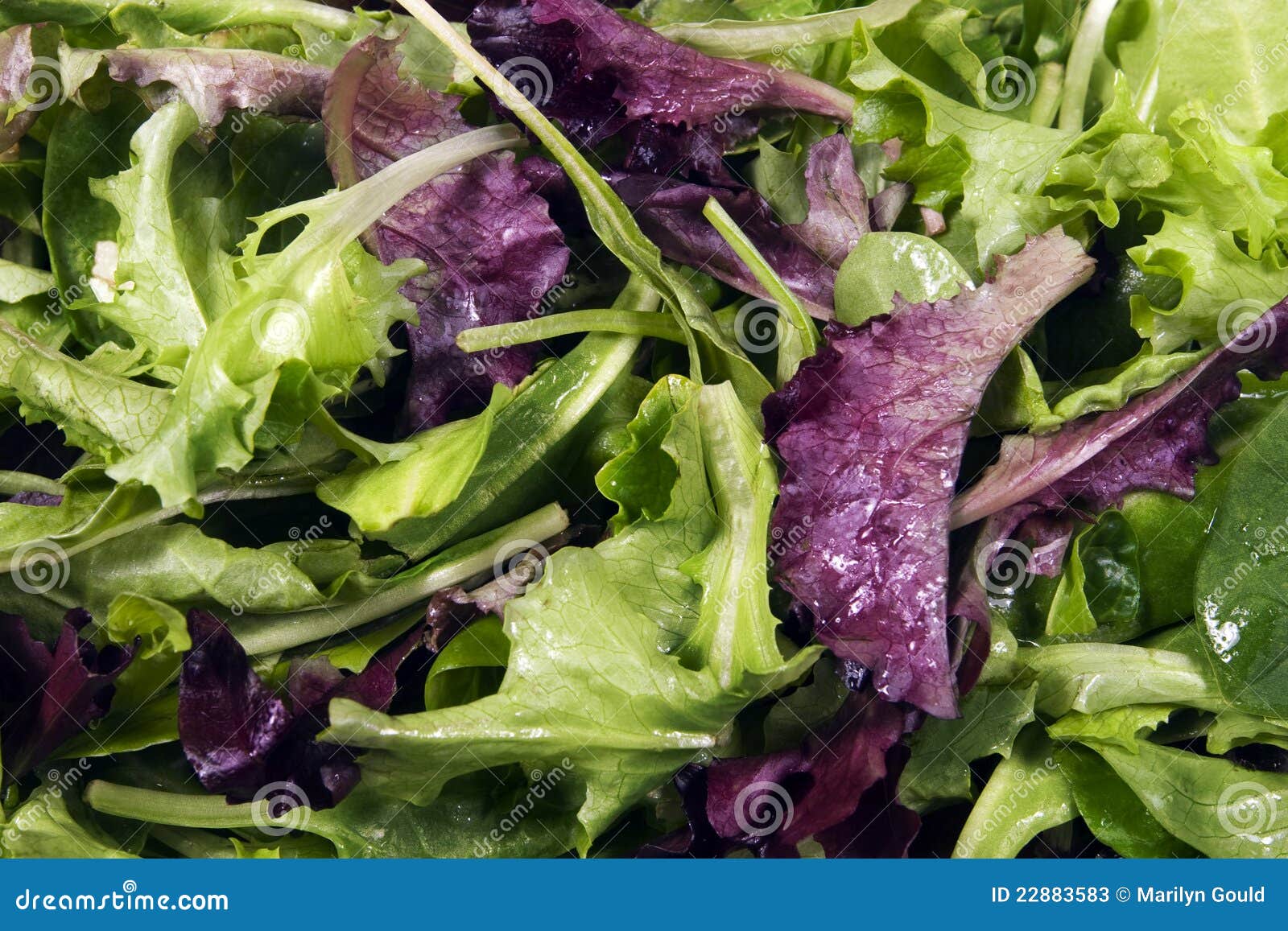 lettuce - mixed baby leaves