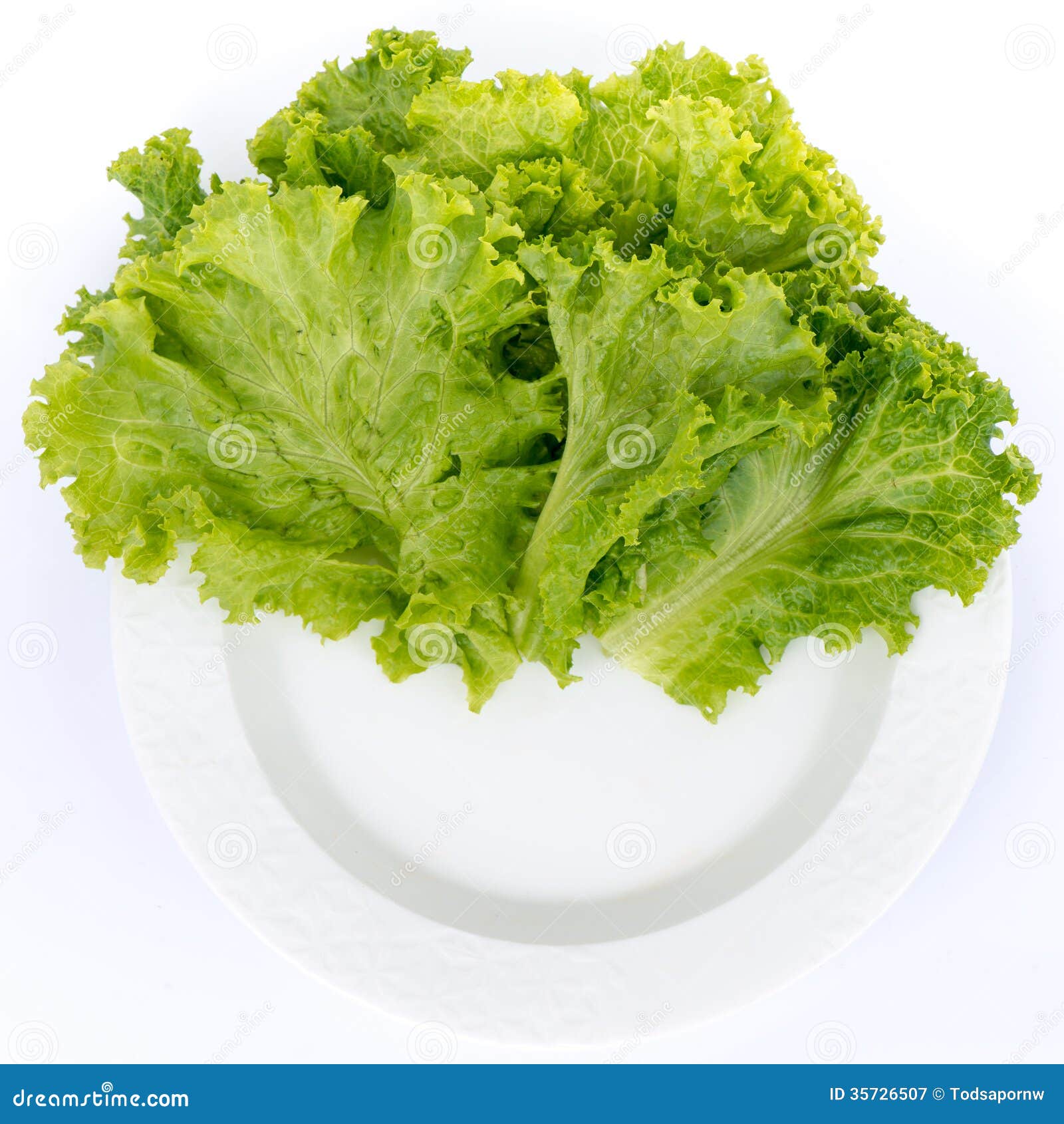 Lettuce On Plate For Food Decoration With Isolate Background Royalty