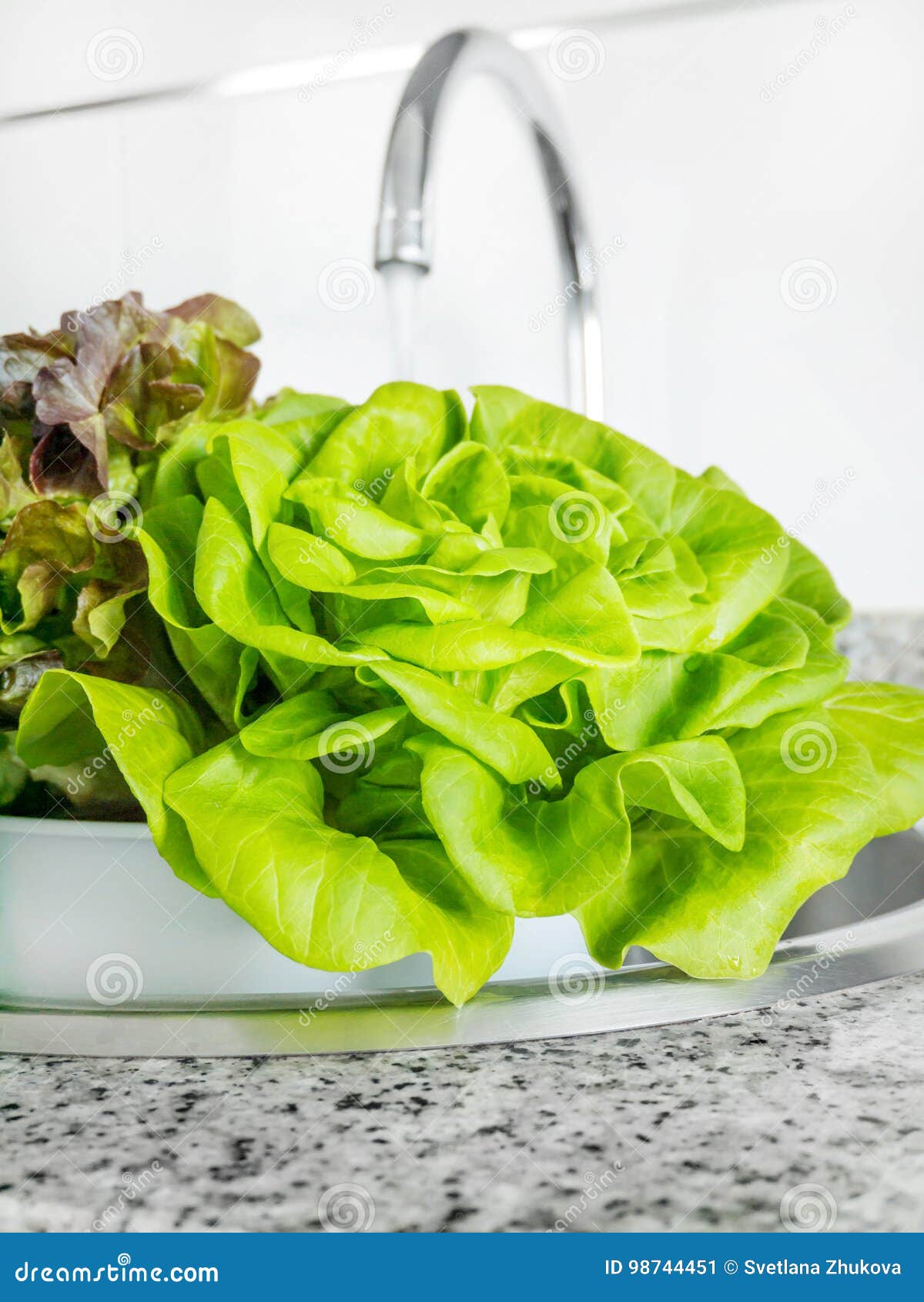 Lettuce Salad Washing in the Kitchen Sink Stock Image - Image of purple ...