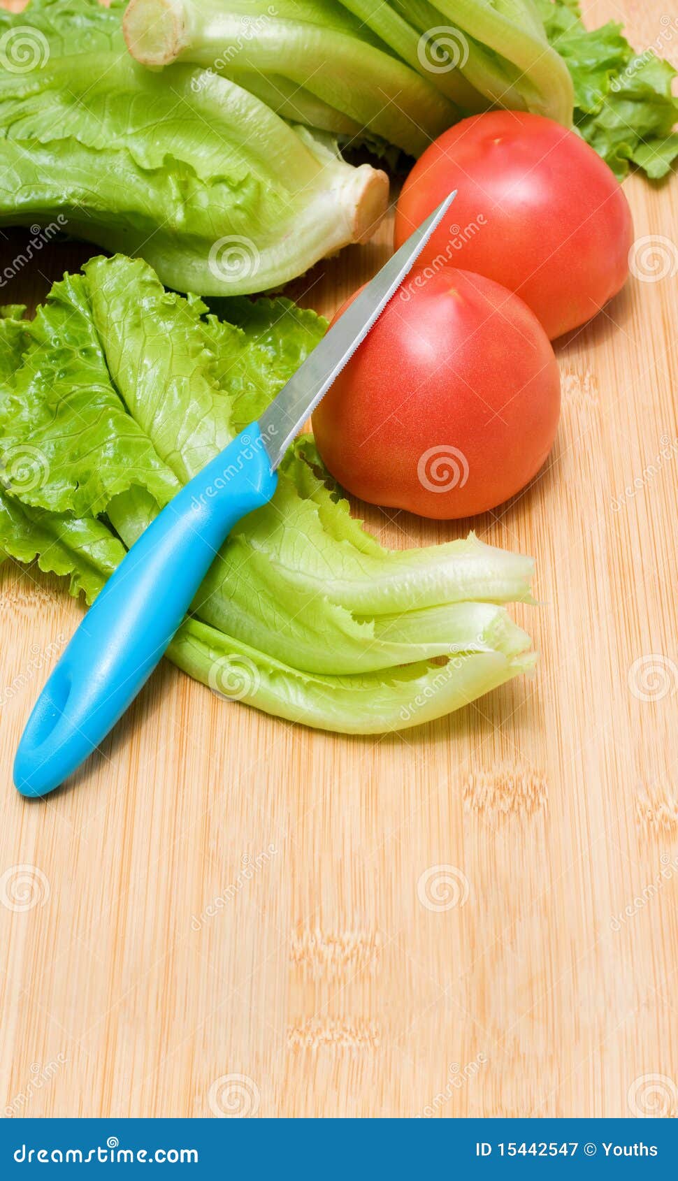 Lettuce and Tomato stock image. Image of nutritious, composition 15442547