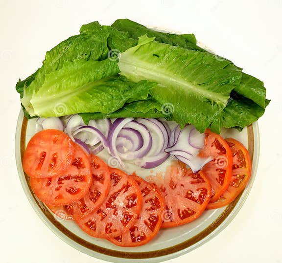 Lettuce tomato and onion stock image. Image of ingredient 45467167