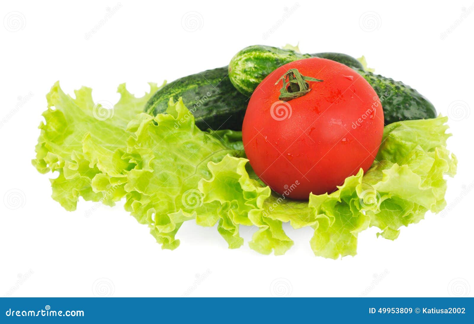 Lettuce, Tomato and Two Cucumbers Lying on the Plate Stock Image