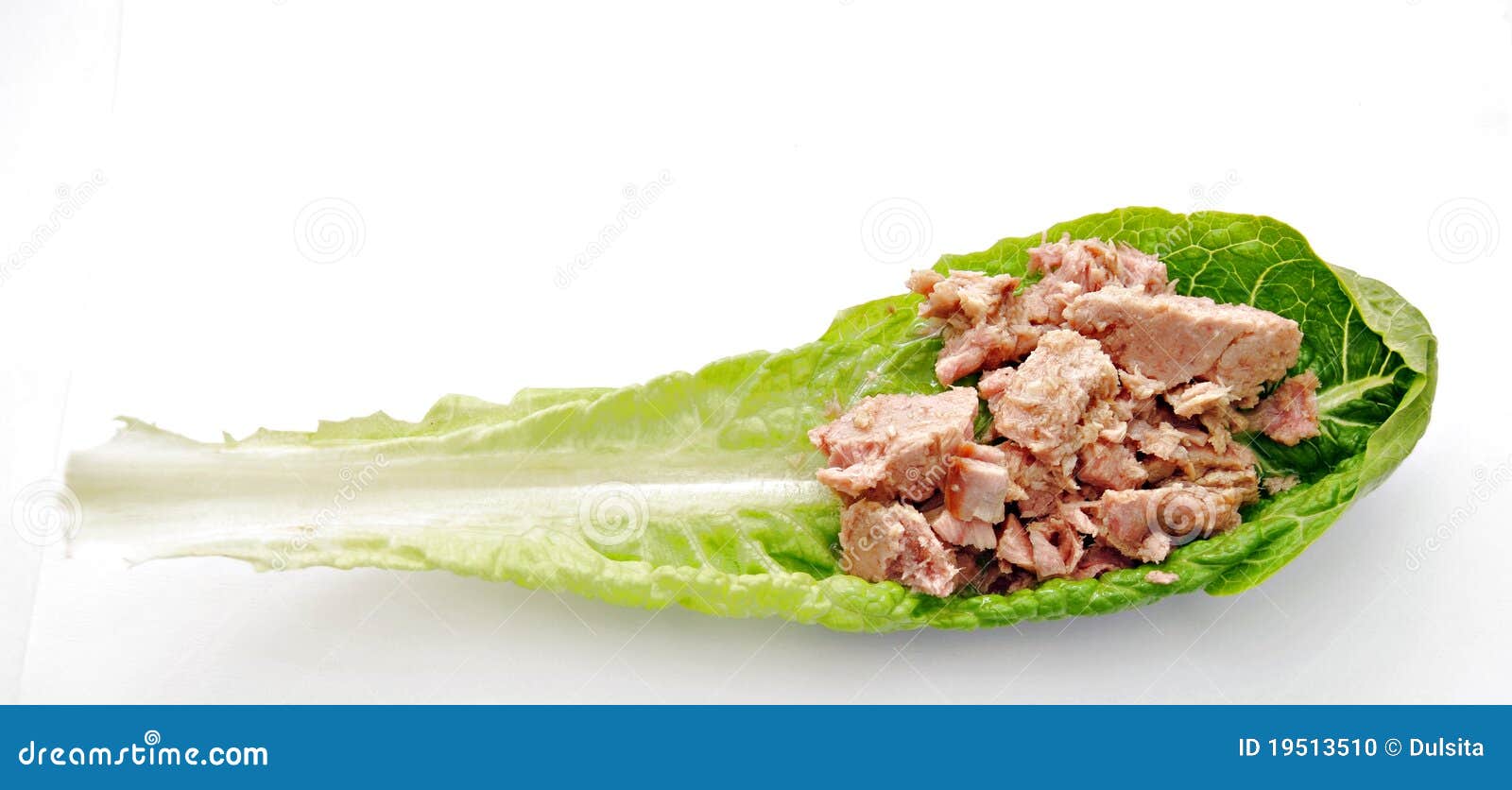 Lettuce and tuna stock photo. Image of organic, vitamin 19513510