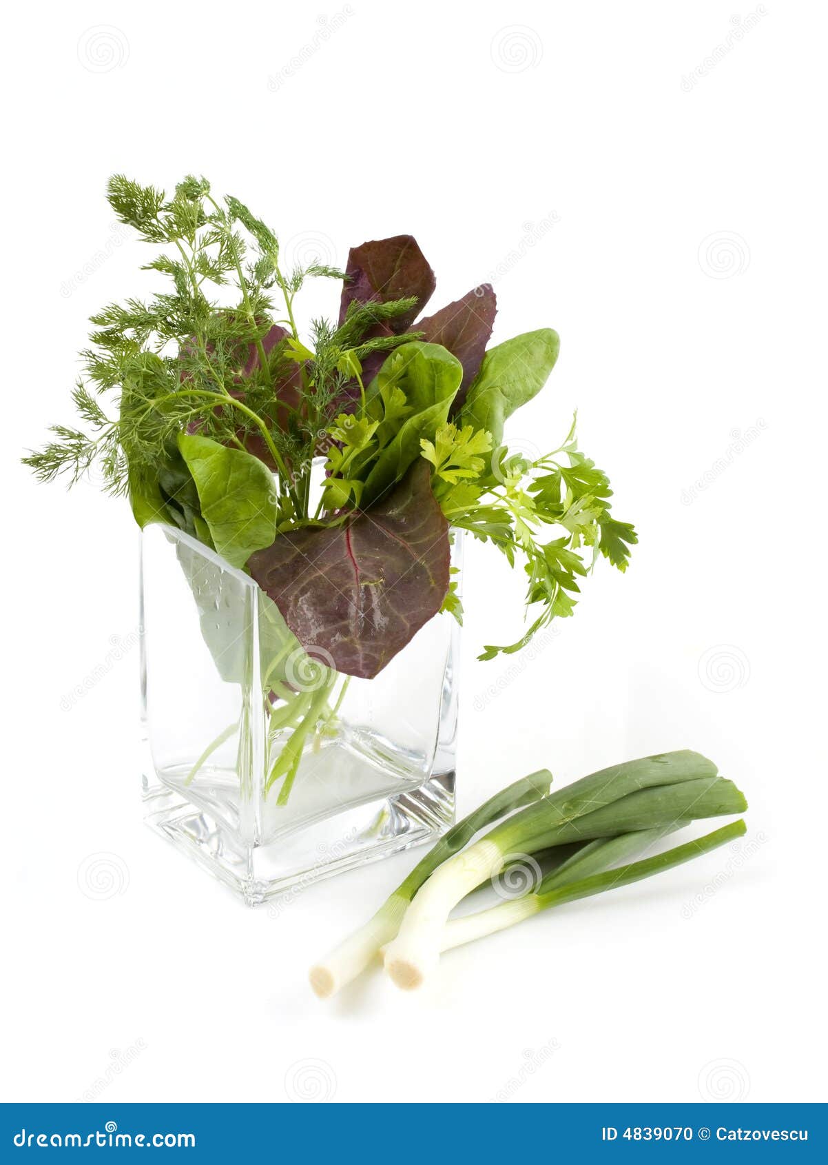 Lettuce In A Vase RoyaltyFree Stock Image 4839070
