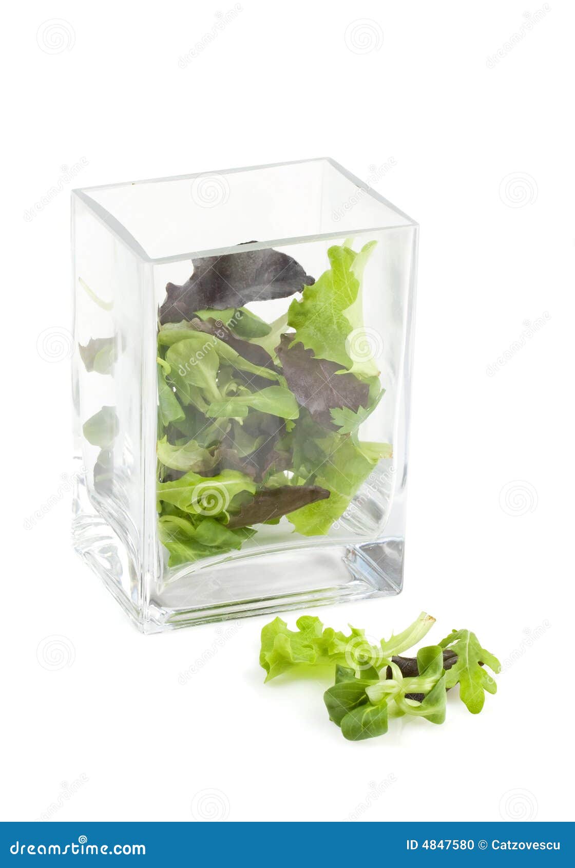 Lettuce In A Vase Picture. Image 4847580