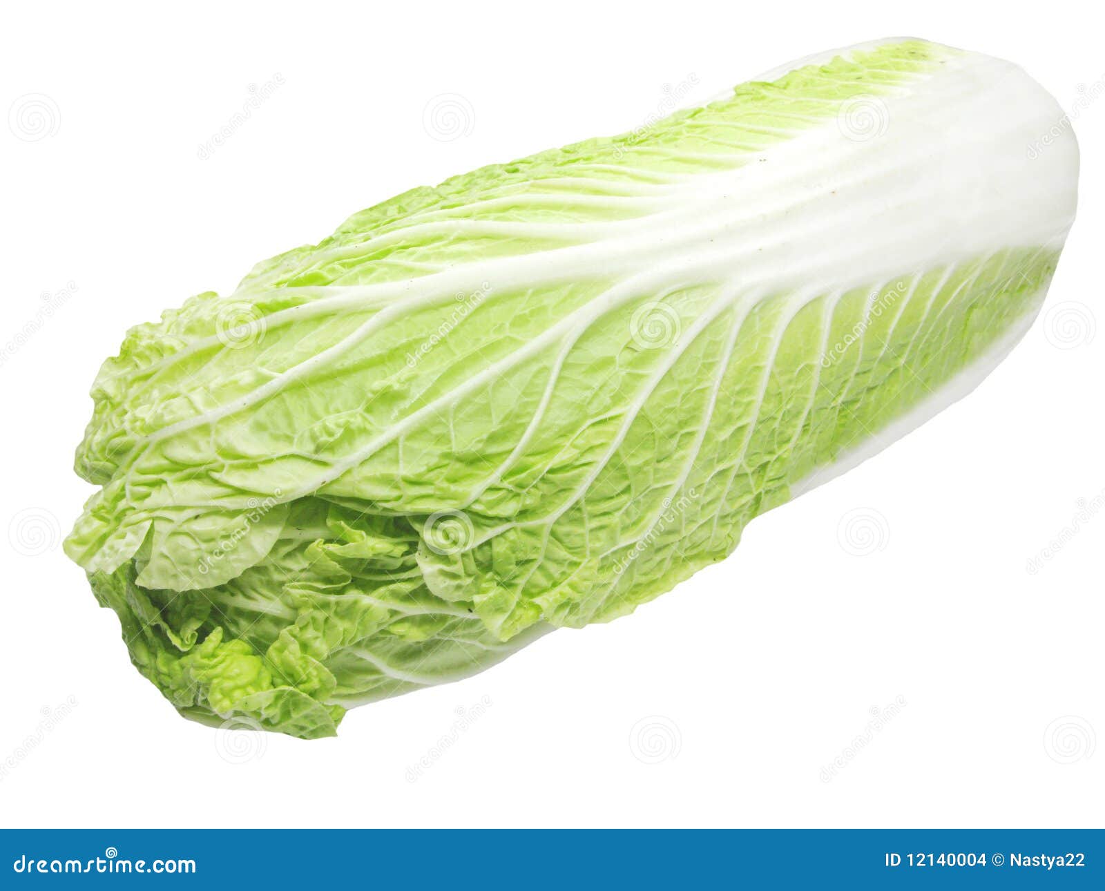 Lettuce vegetable stock photo. Image of lettuce, freshness 12140004