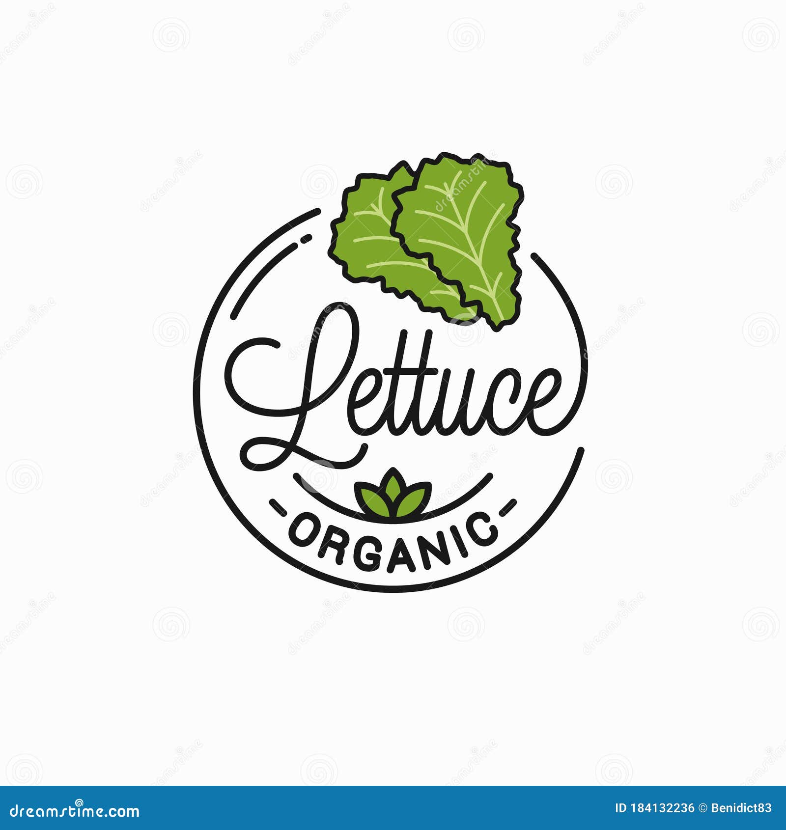 Lettuce Vegetable Logo. Round Linear of Lettuce Stock Vector