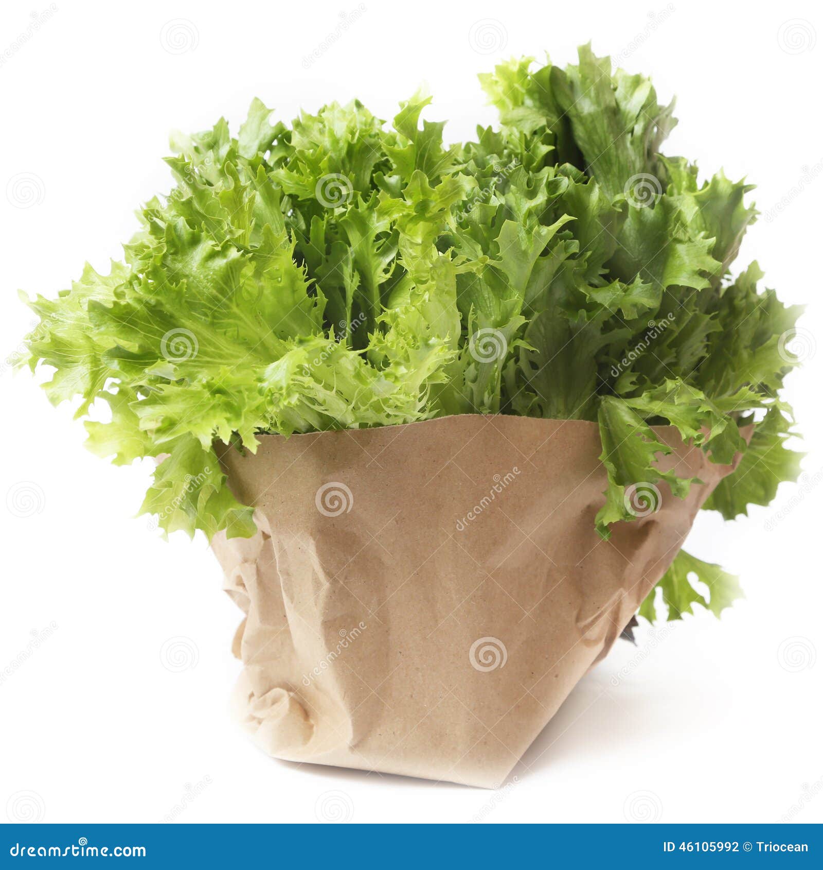 Lettuce stock photo. Image of ingredients, antioxidant 46105992
