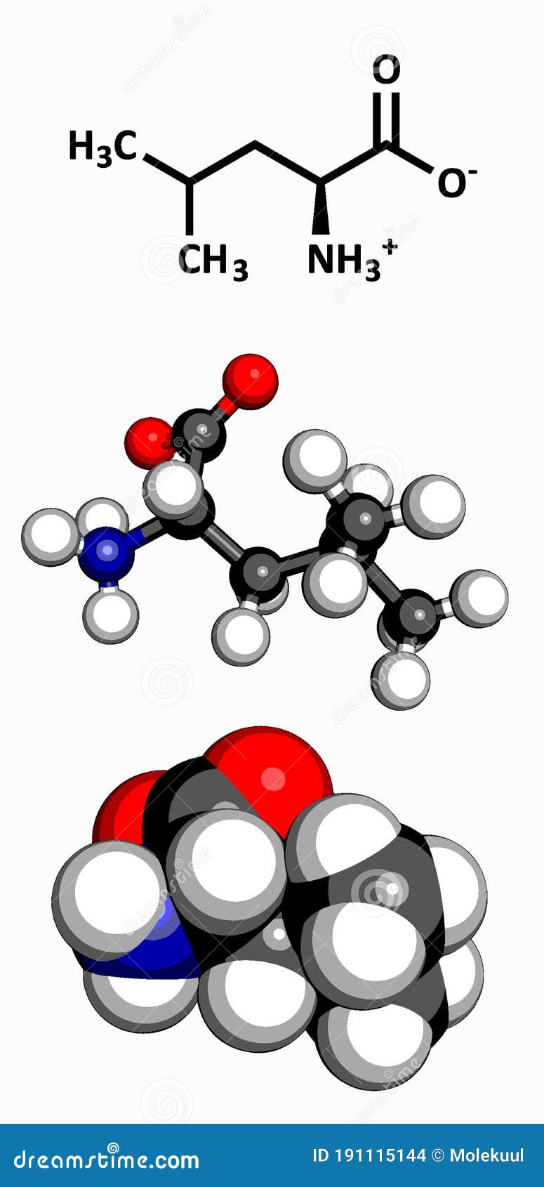 leucine l-leucine, leu, l amino acid molecule.