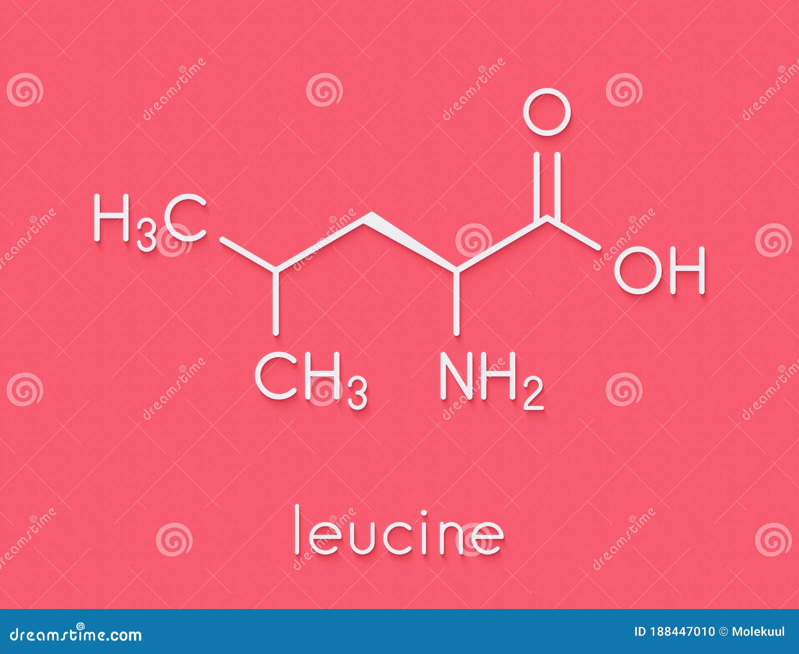 Leucine Lleucine, Leu, L Amino Acid Molecule. Skeletal Formula. Stock Illustration