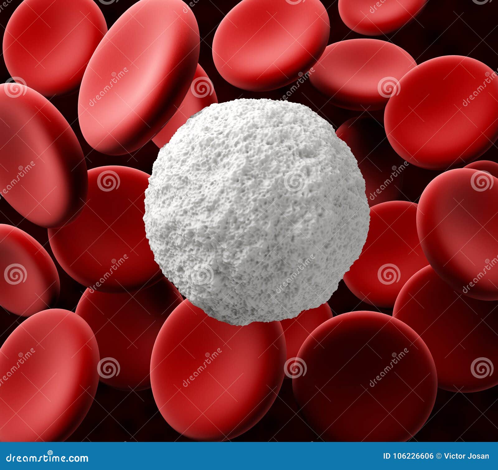 Leucocytes with Red Blood Cell Background. Medical Background, 3d ...