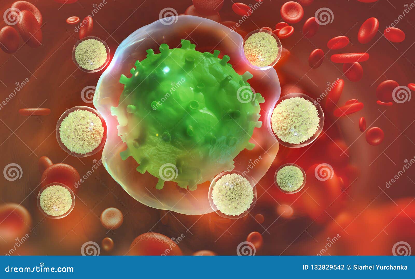 leukocytes attack the virus. immunity of the body