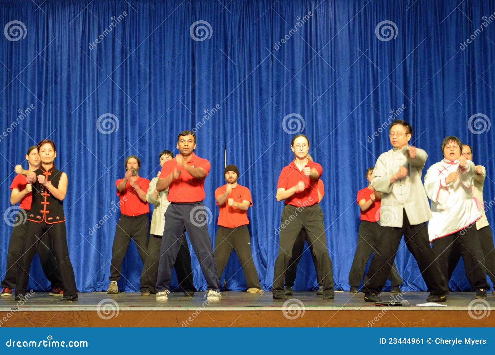 Leung Martial Arts Academy editorial photo. Image of chun 23444961