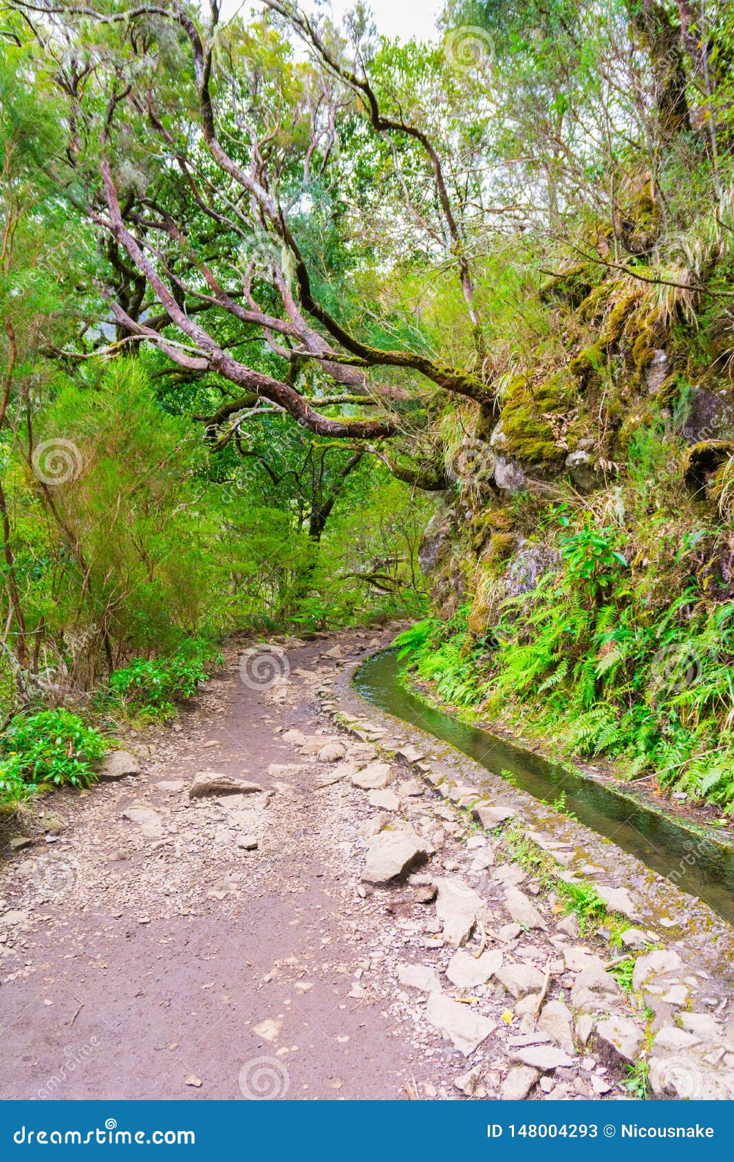 levada das 25 fontes and levada do risco