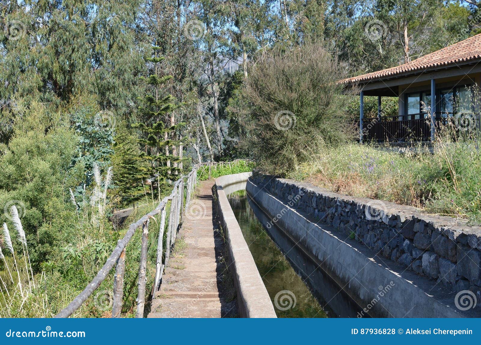 Levada dos托诺斯：Camacha的Monte，灌溉运河的类型，马德拉岛，葡萄牙