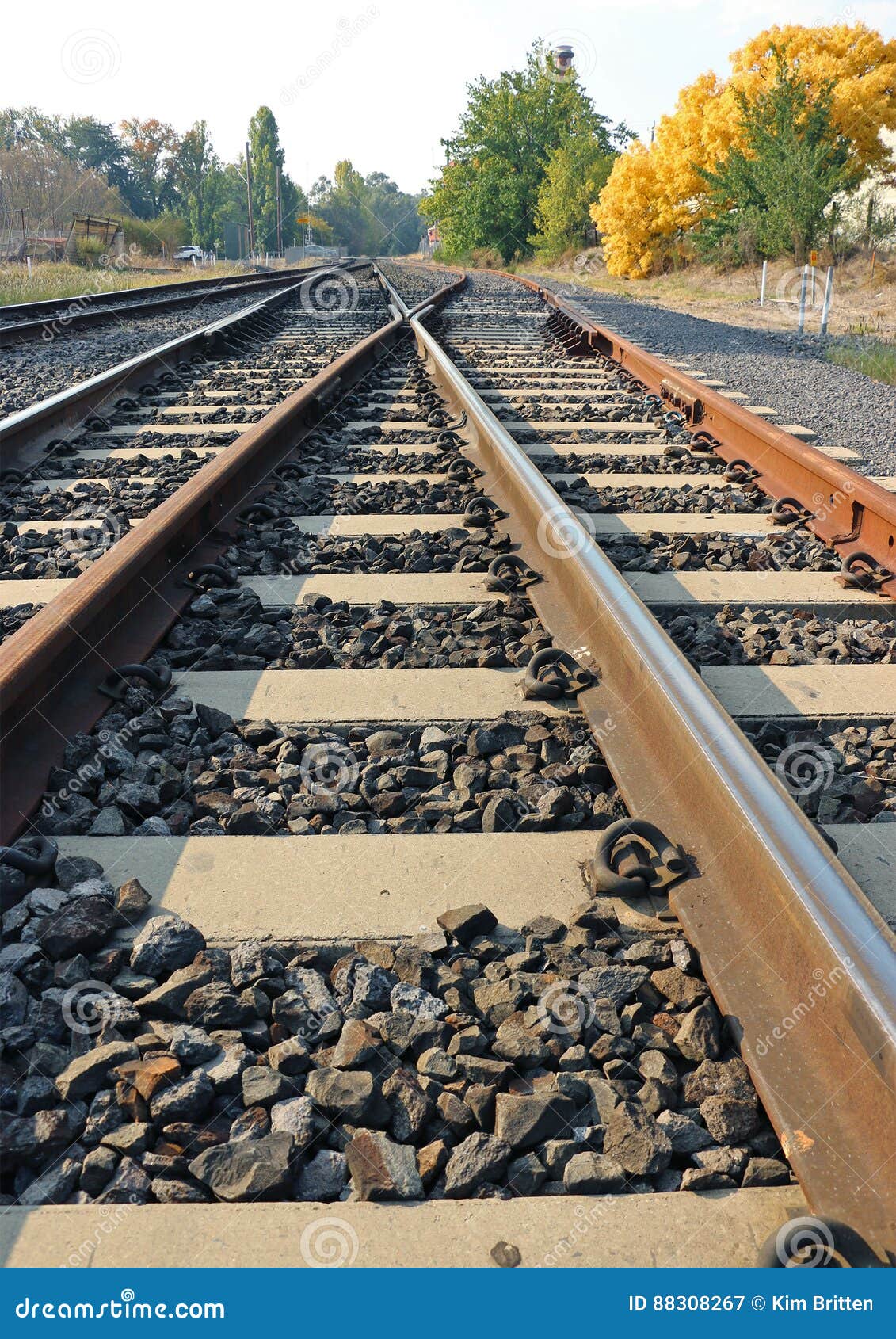 Level Junction or Diamond Crossing Railway Track Configuration Stock Image Image of yellow