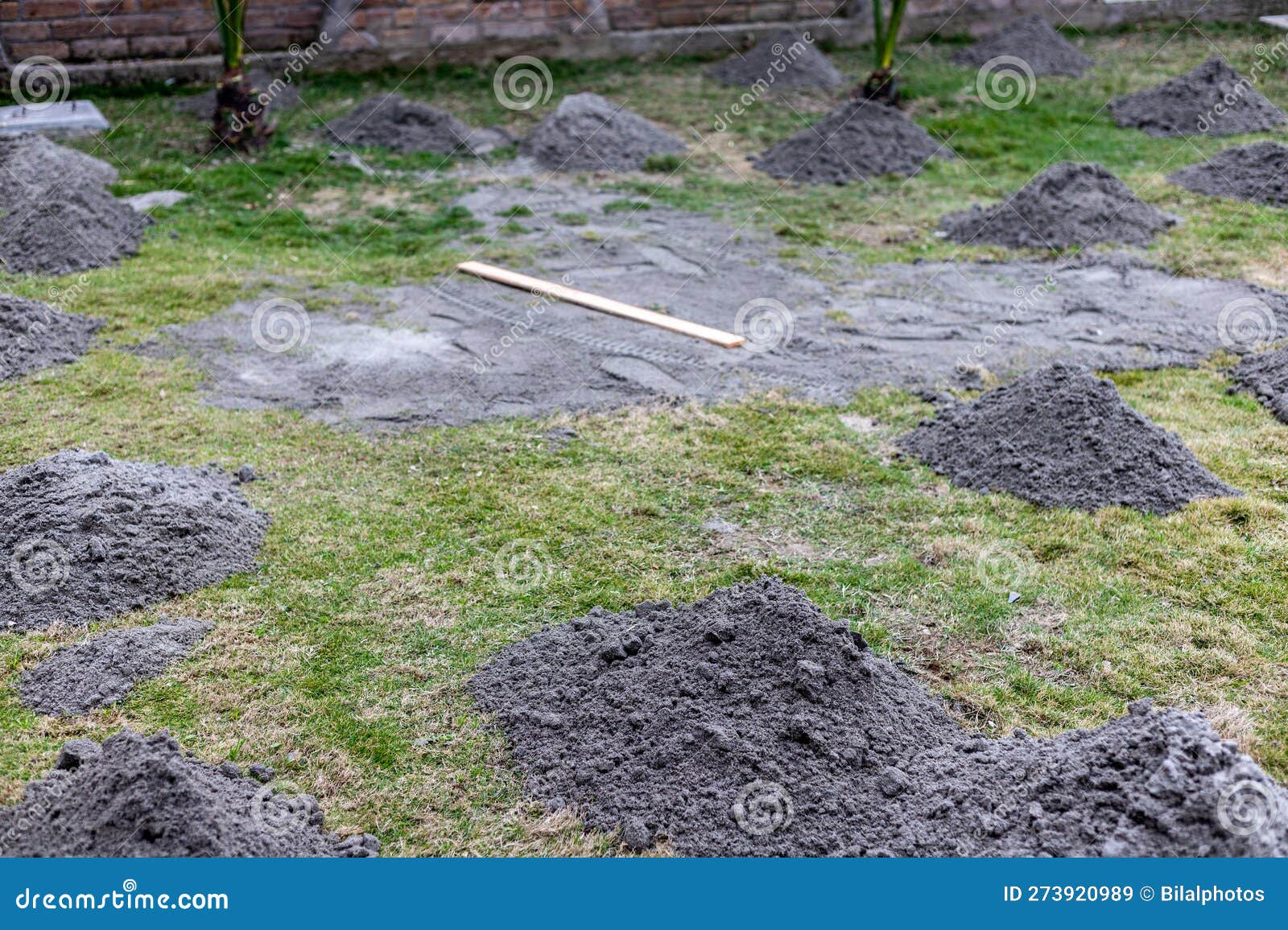 Leveling Lawn Manually with Sand Stock Image Image of landscaping
