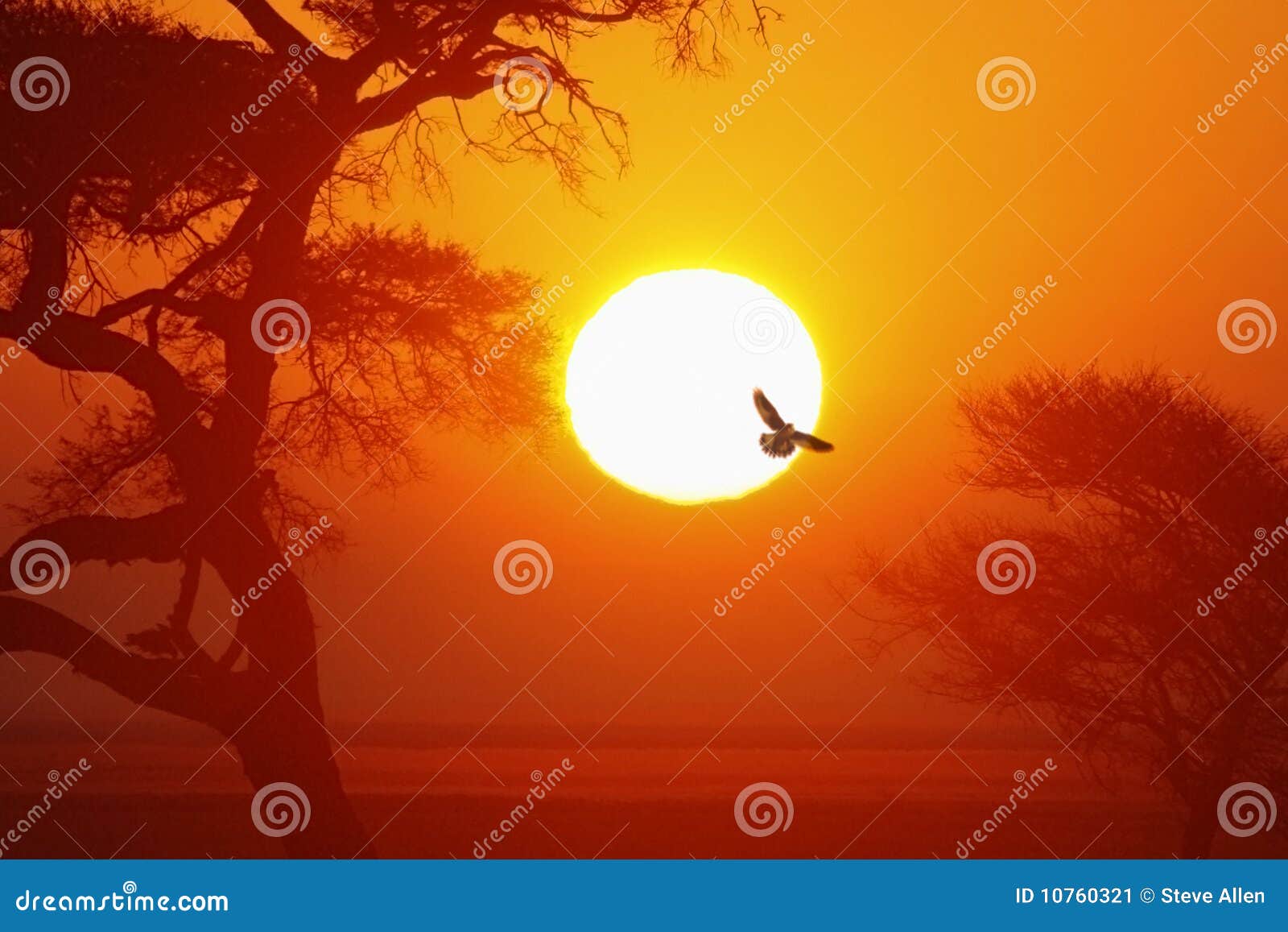 Lever De Soleil Africain Namibie Image Stock Image Du